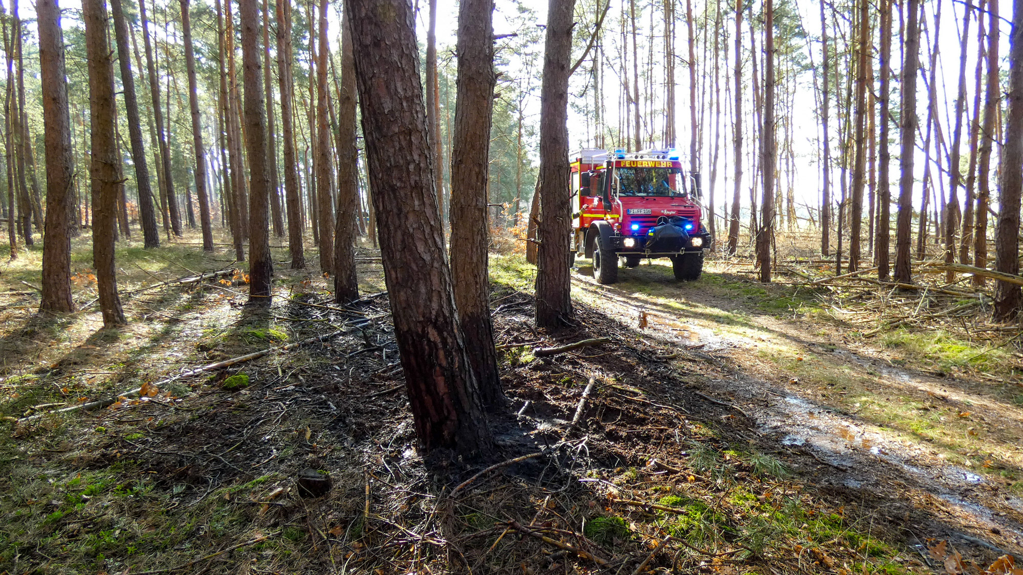 Waldbrand bei Sorno - Passantin weist Feuerwehr den Weg zur Brandstelle