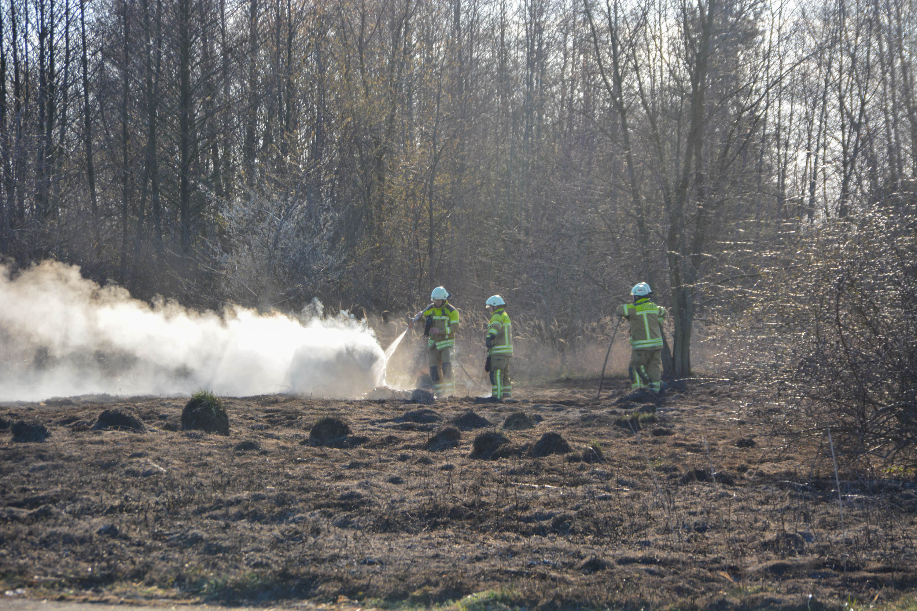 2026-04-02_Brand_Flugplatz (10 von 28).jpg