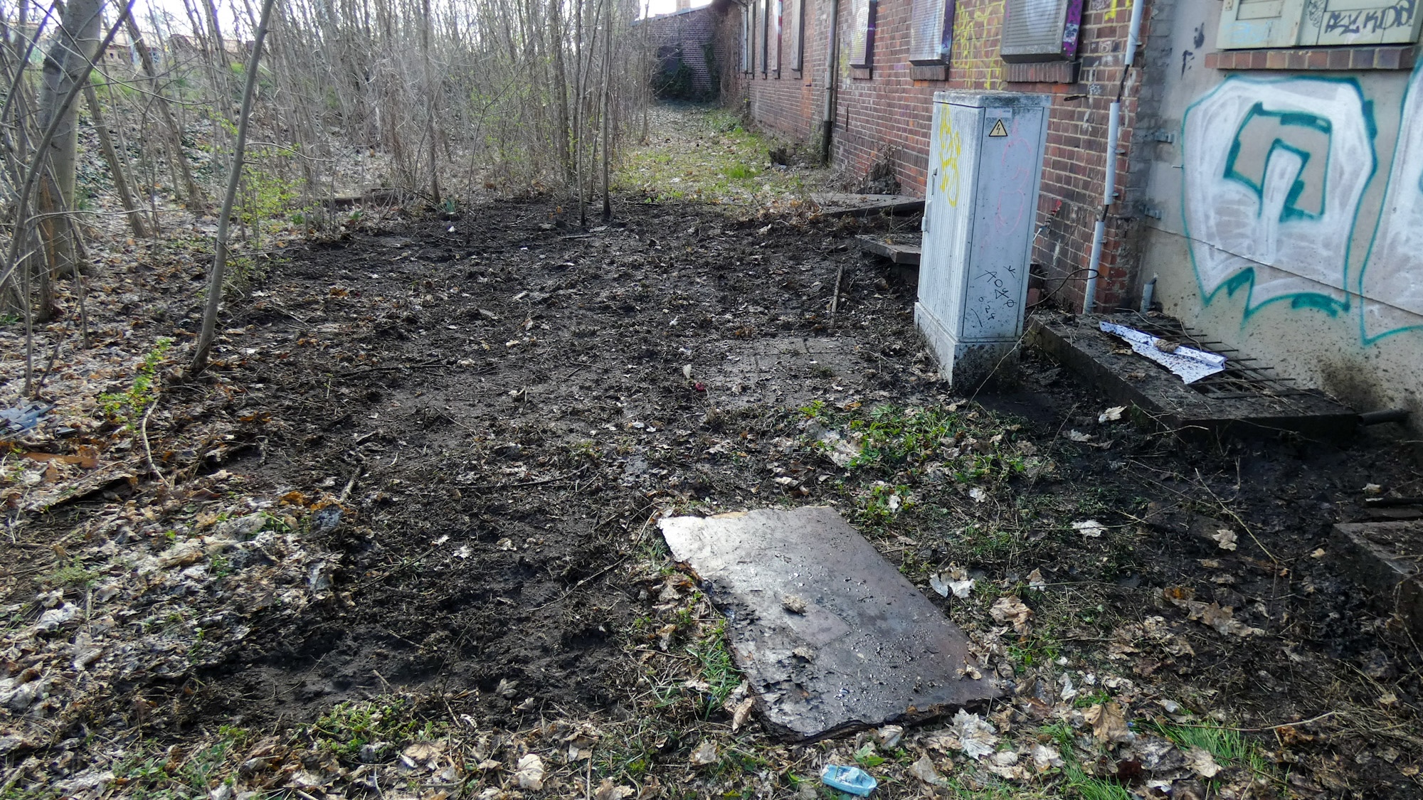 26-04-06 15-31-03 2026.jpg