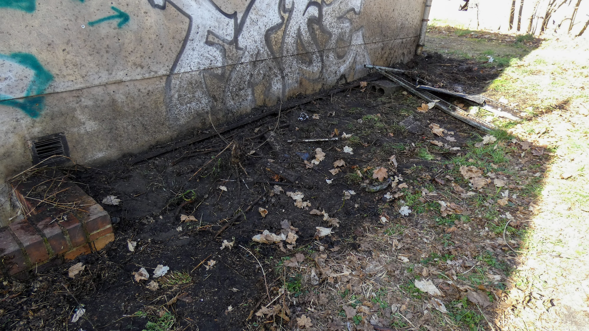 26-04-06 15-32-53 2026.jpg