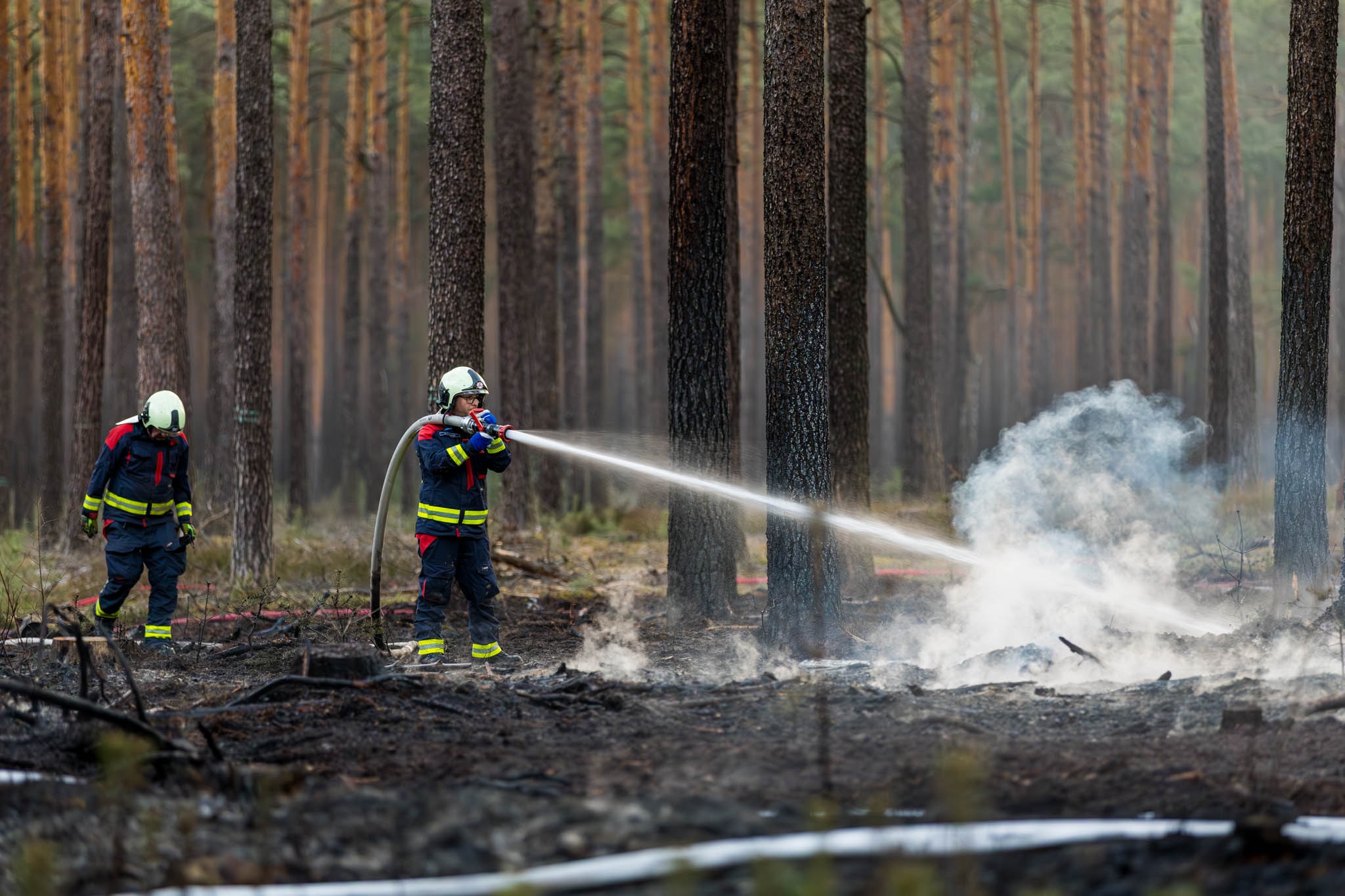 26-04-12 00-21-24 5916.jpg