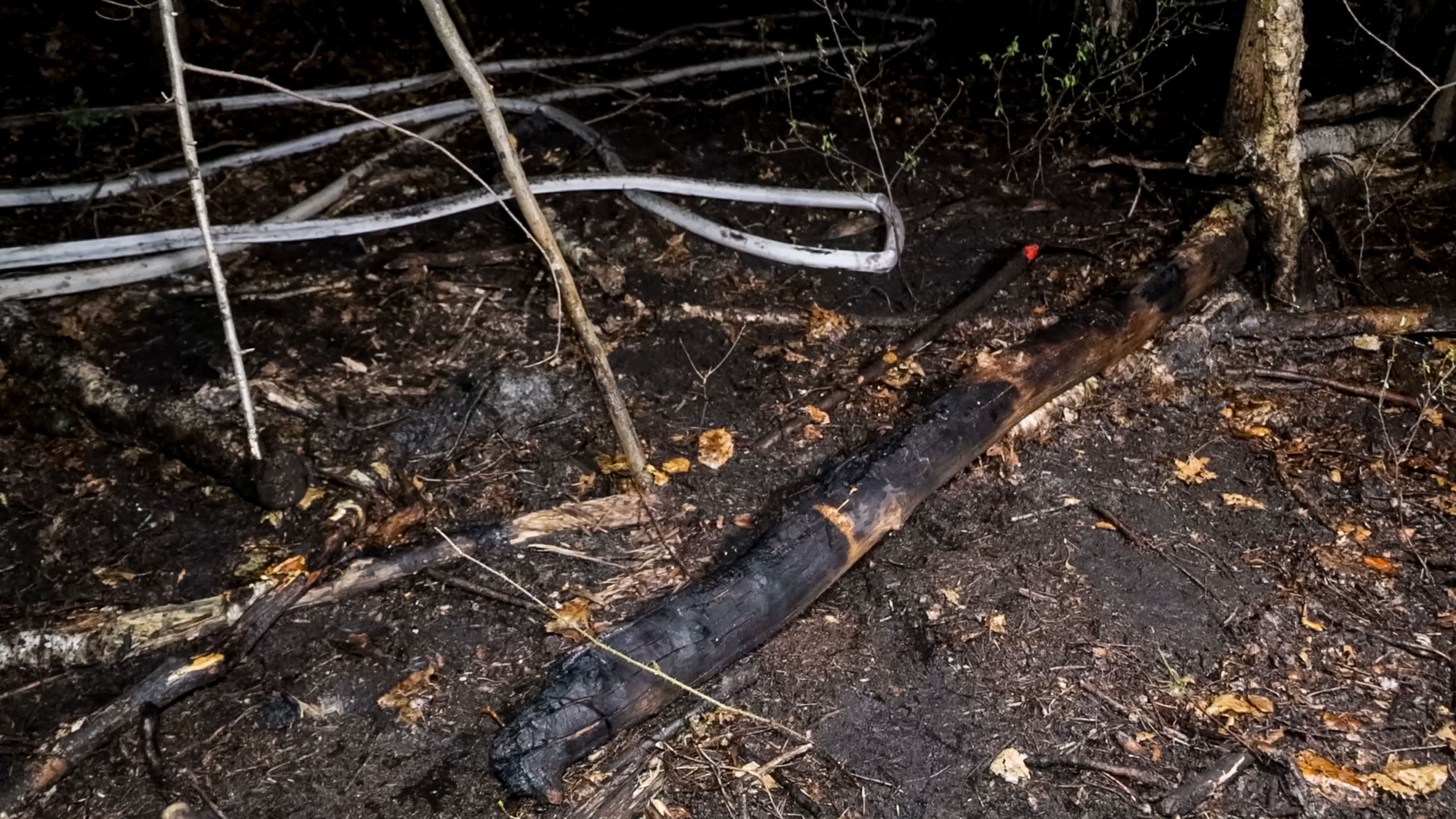 26-04-16 15-35-51 6221.jpg