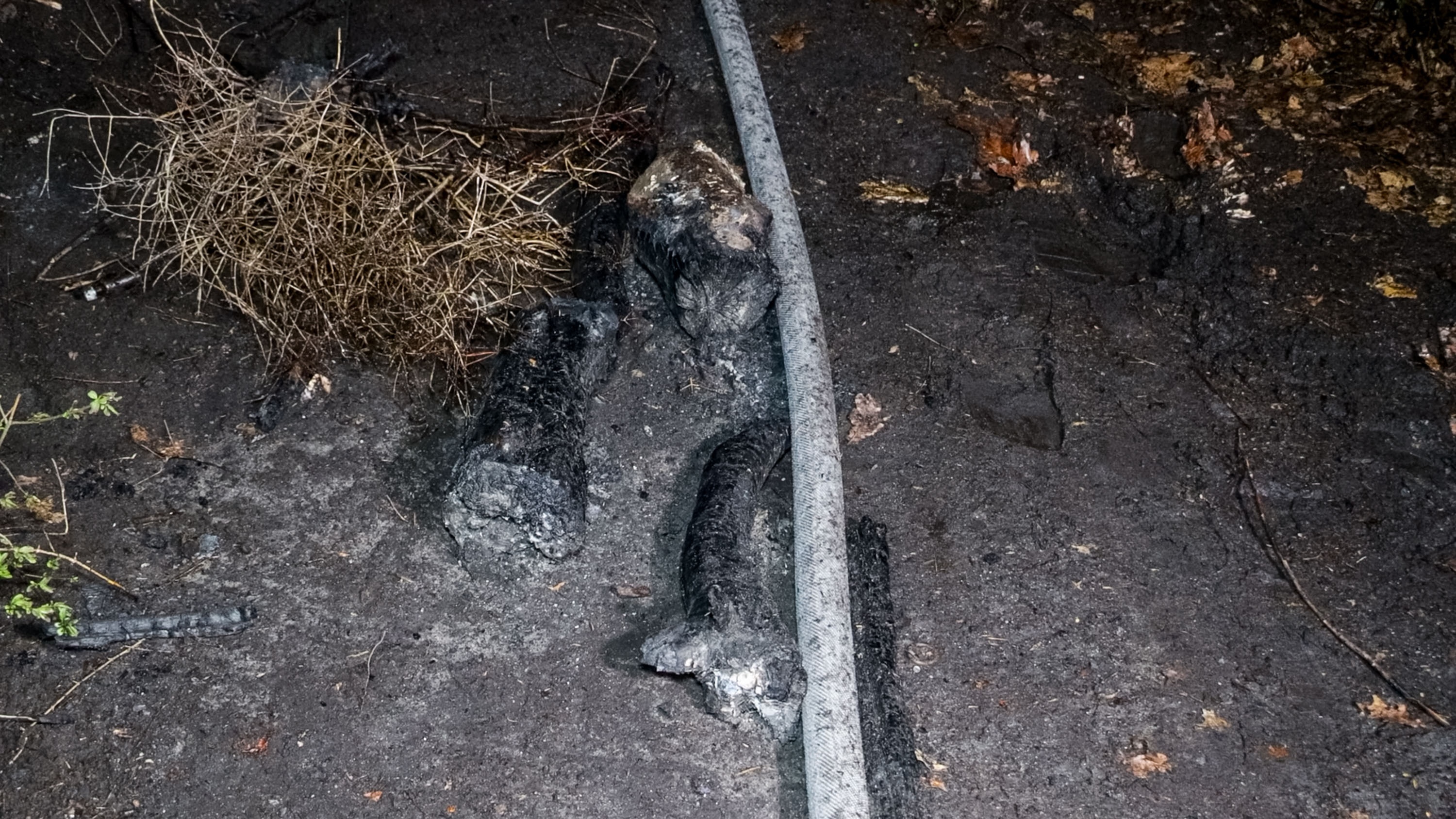 26-04-16 15-35-58 6225.jpg