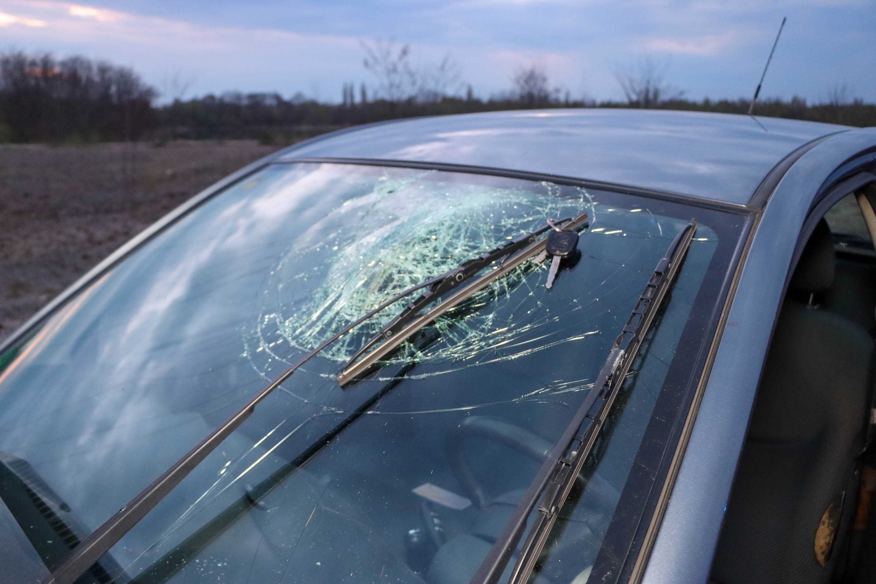 26-04-17 09-09-04 6284.jpg