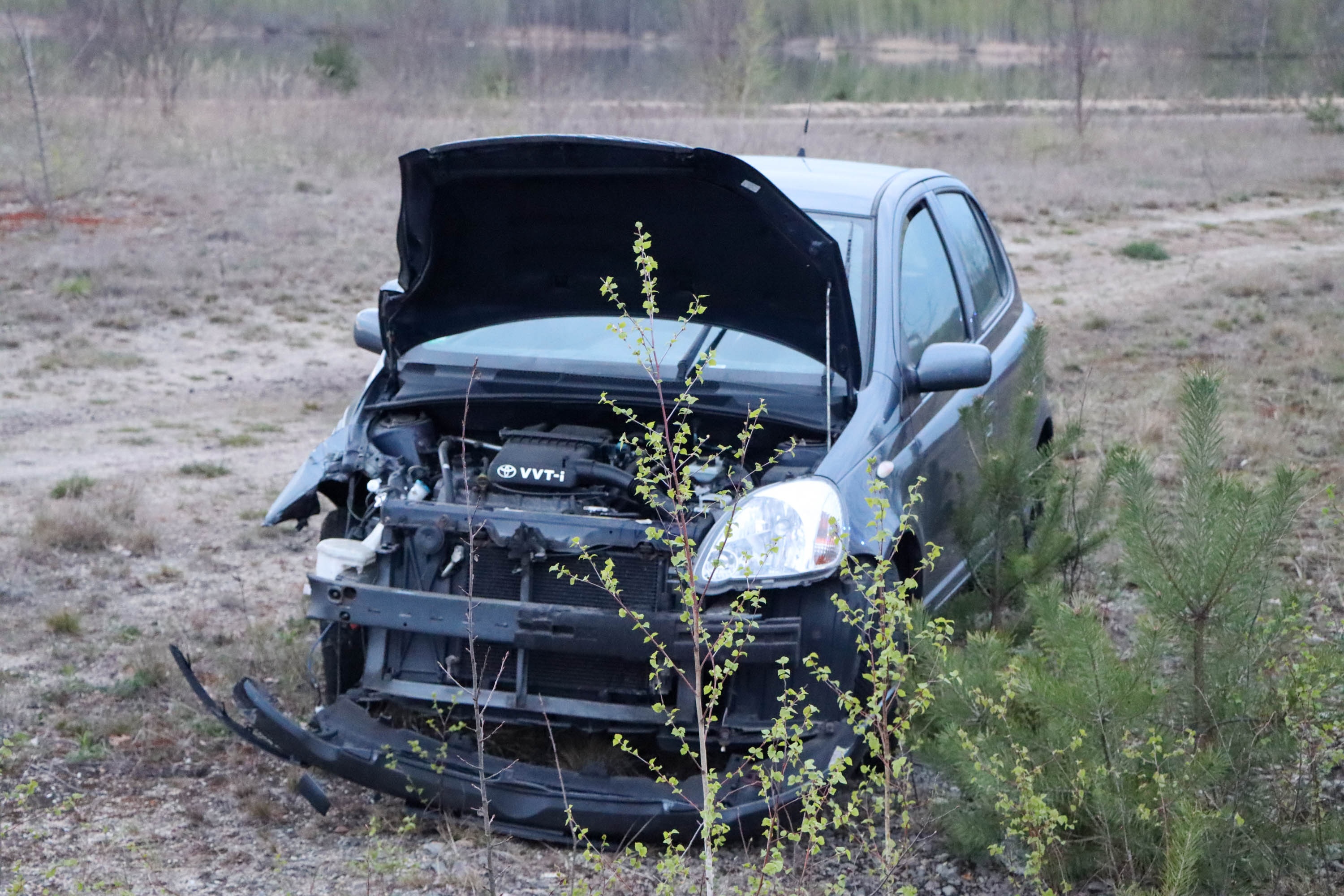 26-04-17 09-09-12 6288.jpg