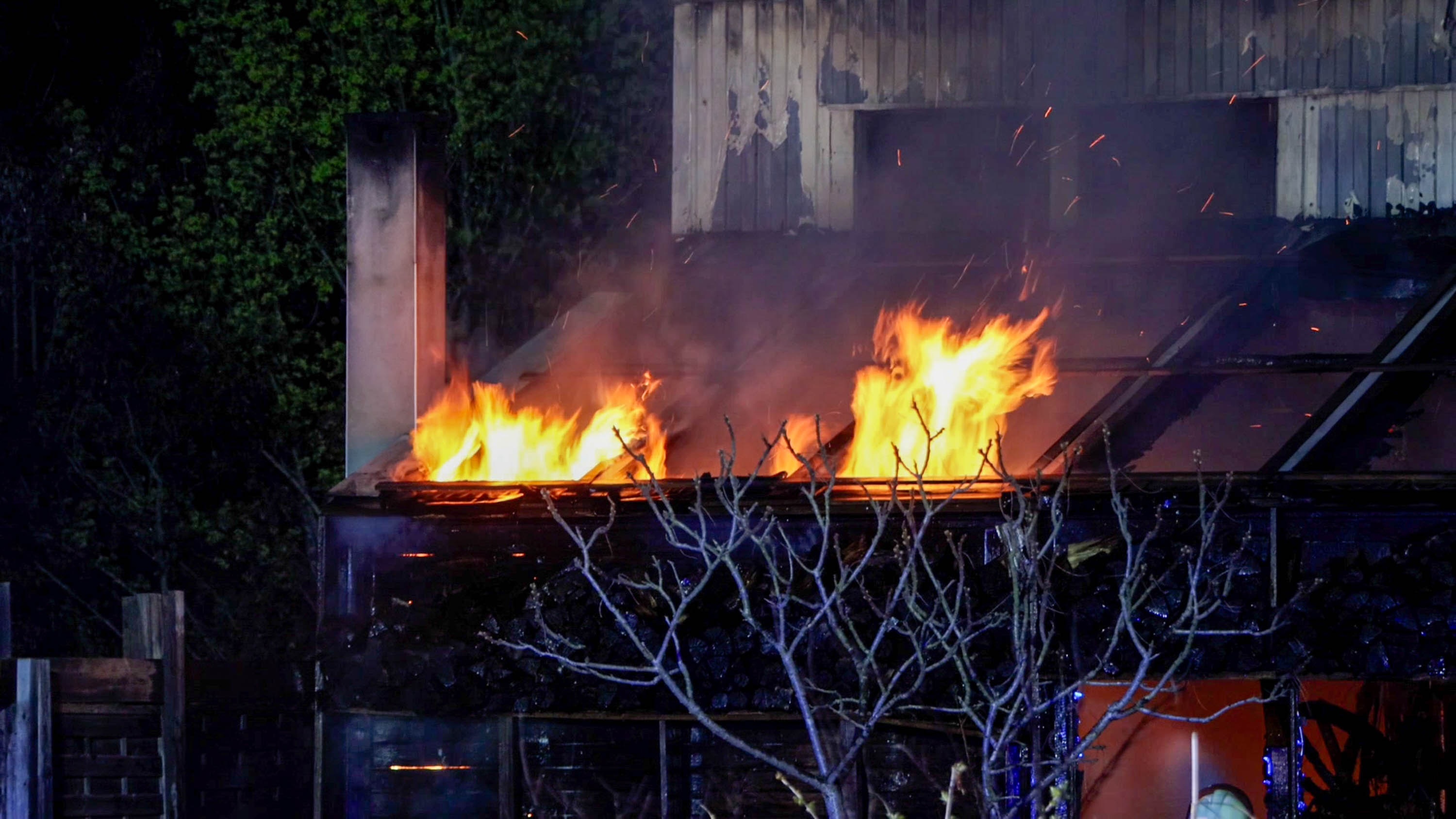 26-04-17 09-12-09 6296.jpg