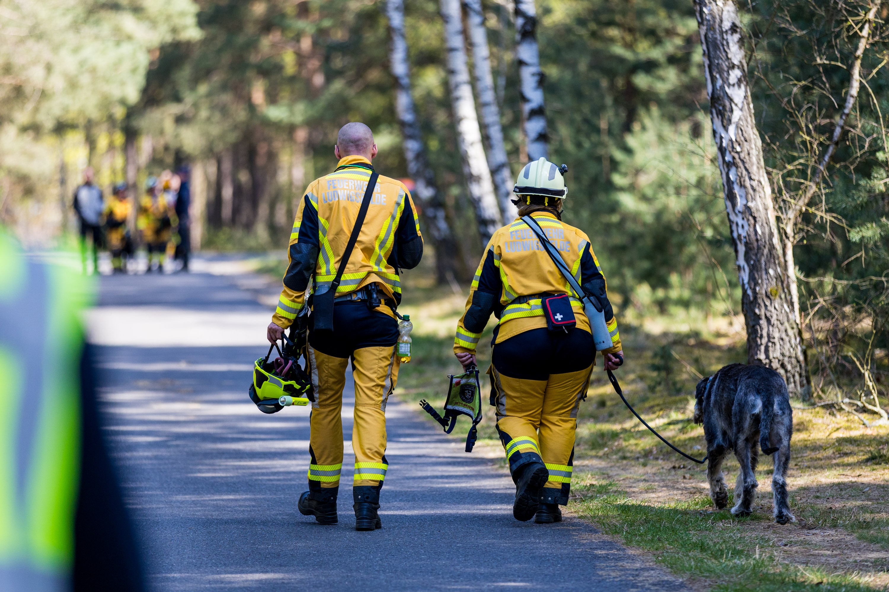 26-04-19 12-45-52 6400.jpg