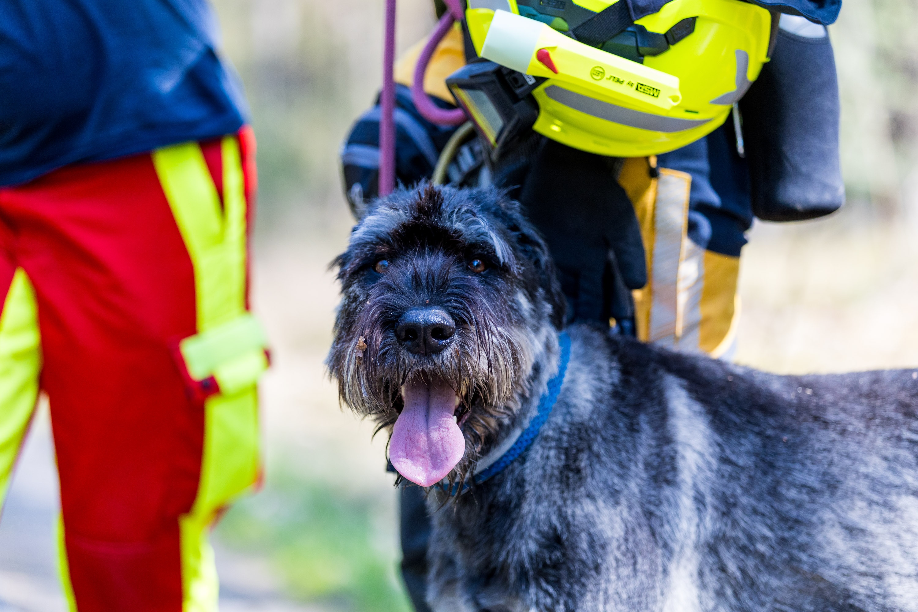 26-04-19 12-45-53 6401.jpg