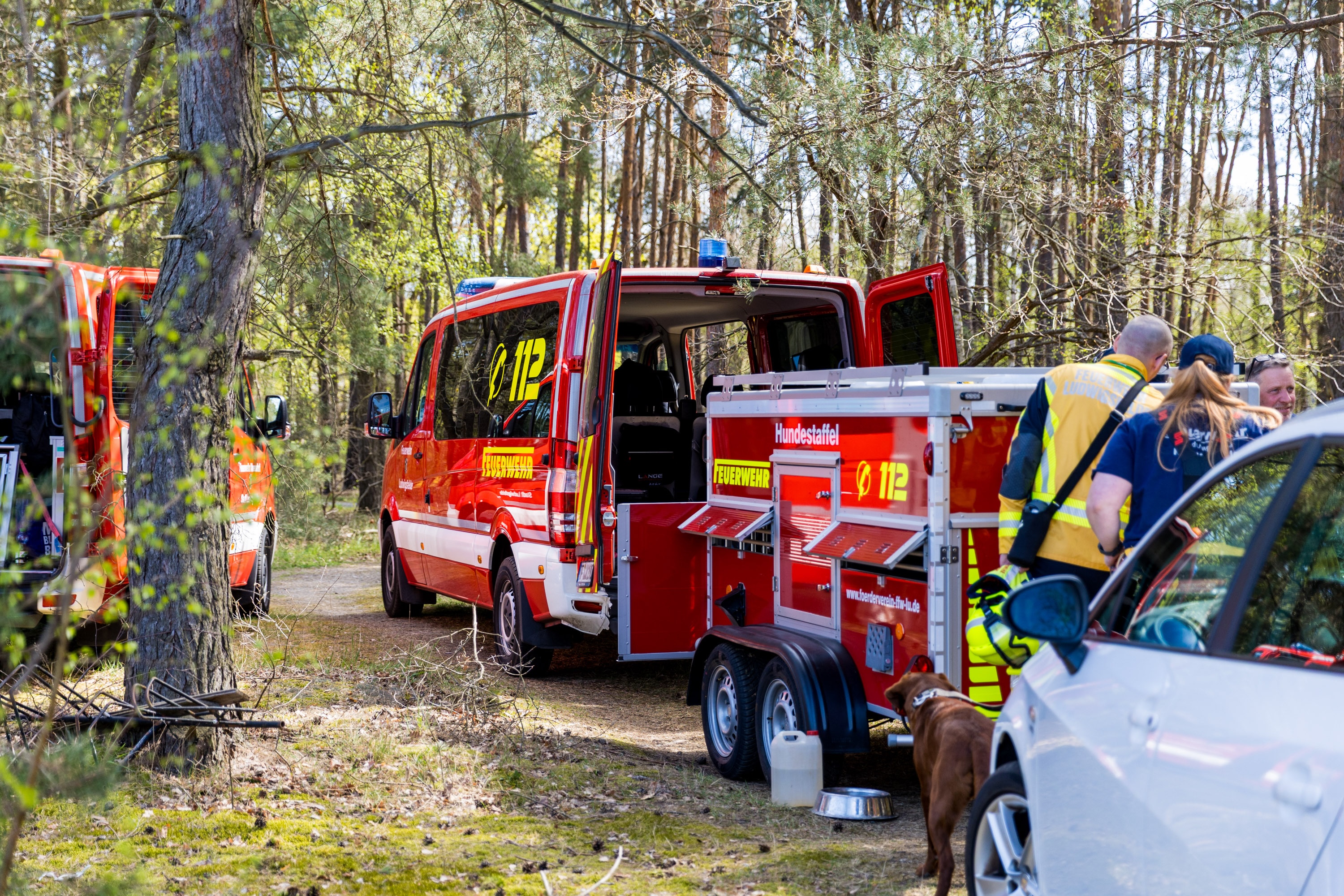 26-04-19 12-46-17 6408.jpg