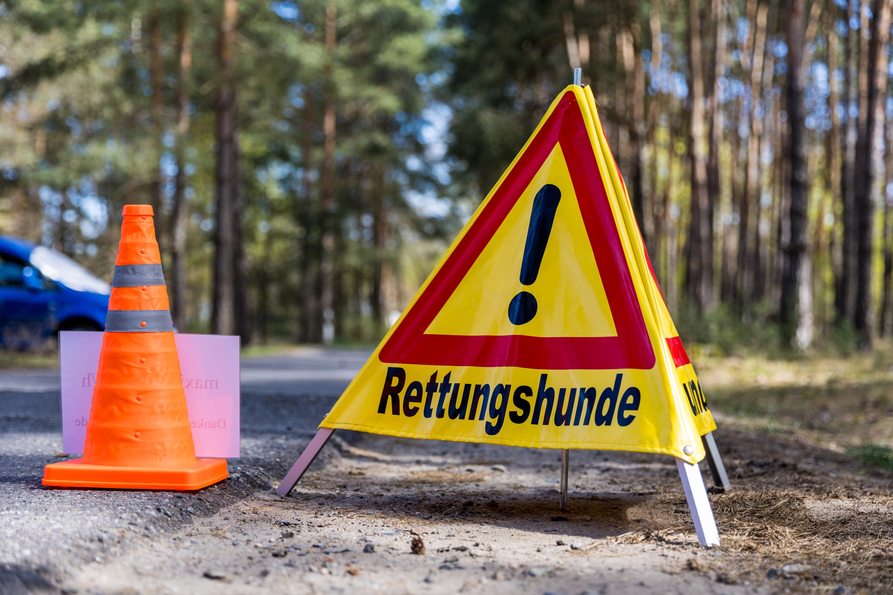 26-04-19 12-46-18 6409.jpg