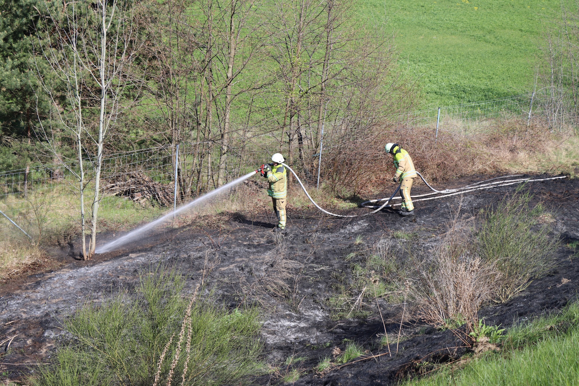 26-04-26 17-52-05 2026.jpg