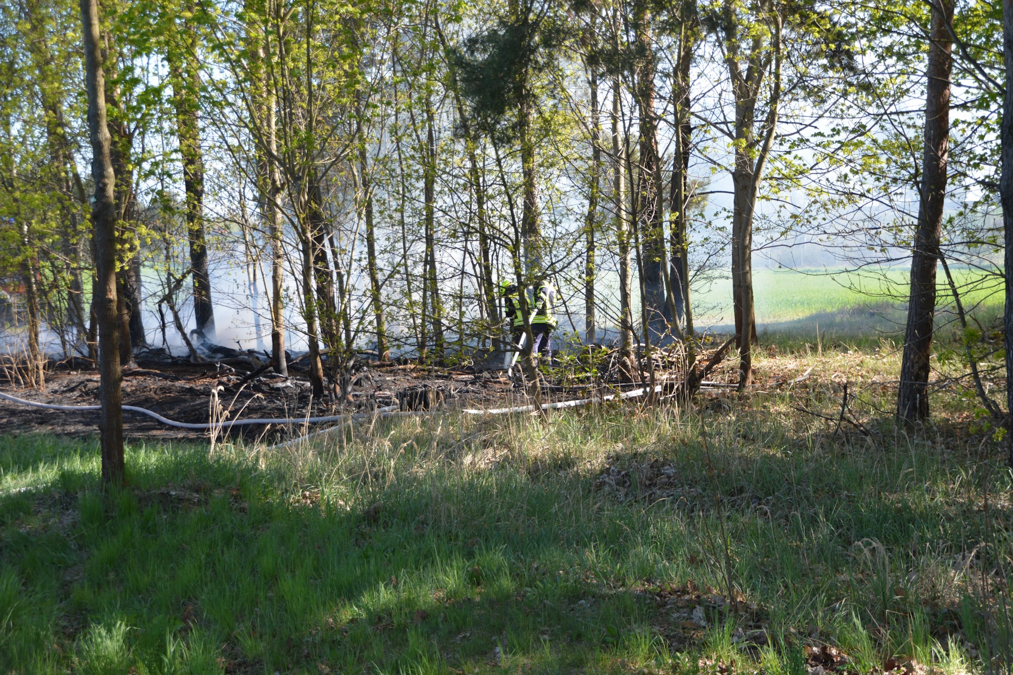 26-04-26 16-08-32 2026.jpg