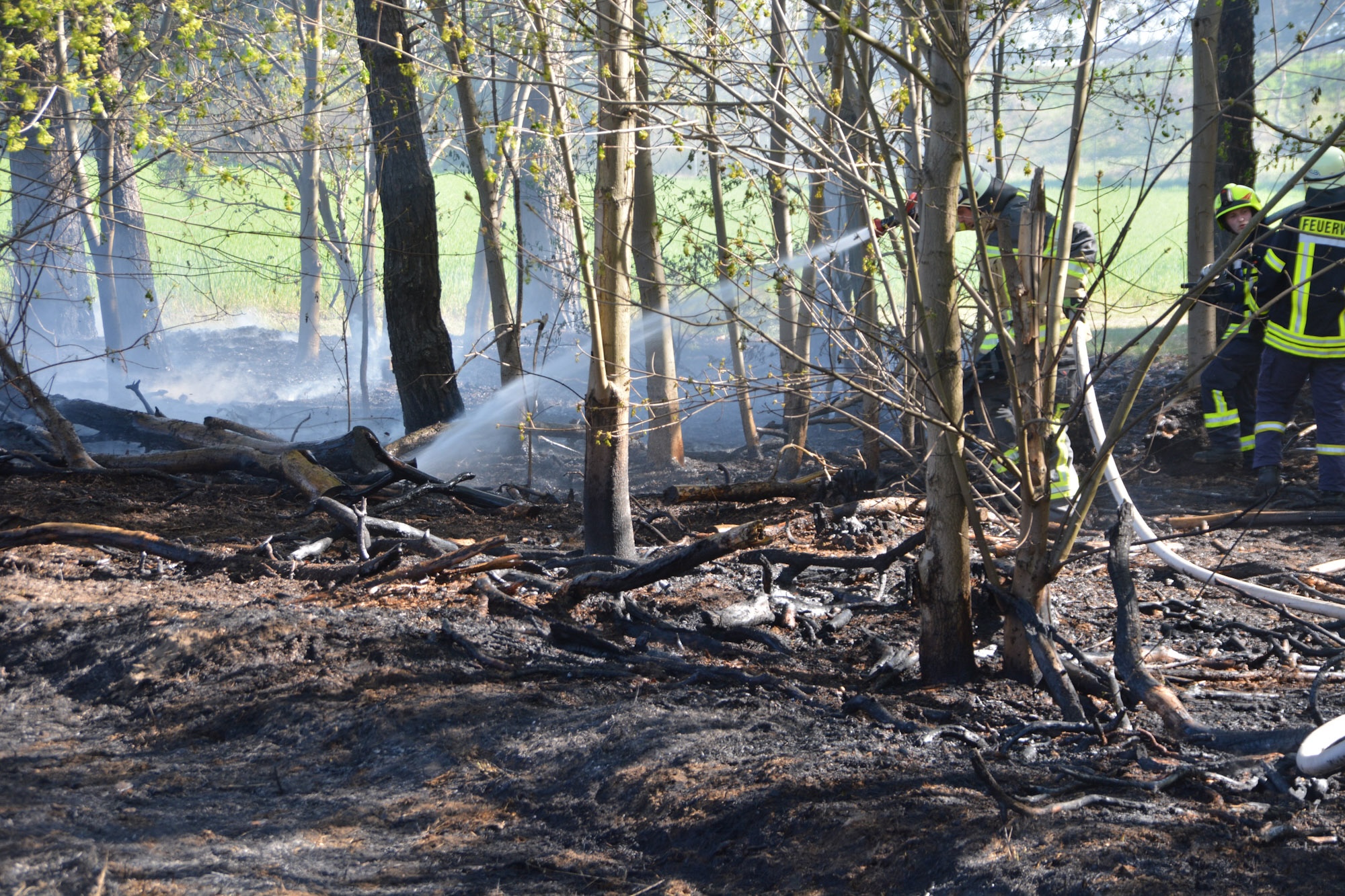 26-04-26 16-10-37 2026.jpg