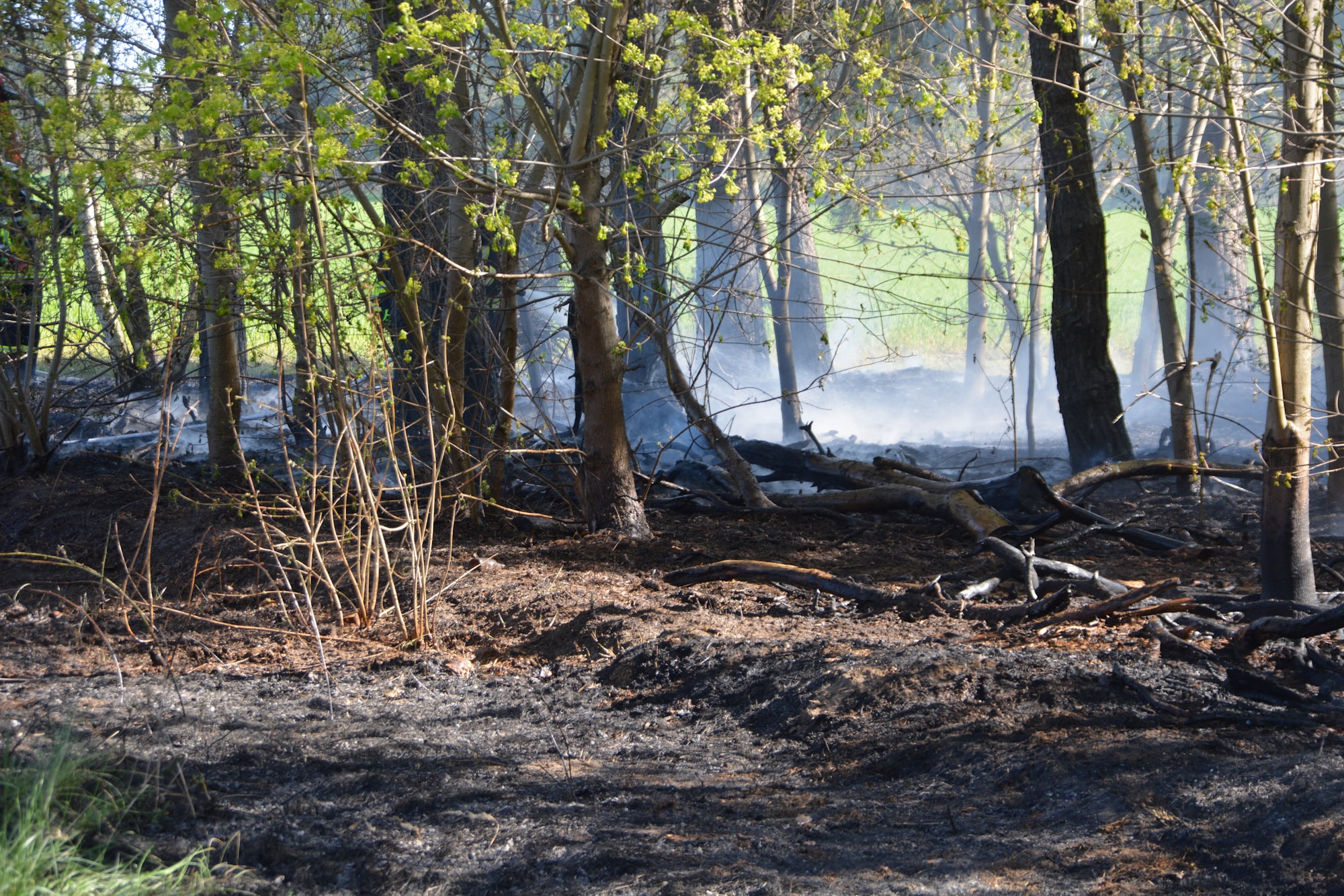 26-04-26 16-10-39 2026.jpg