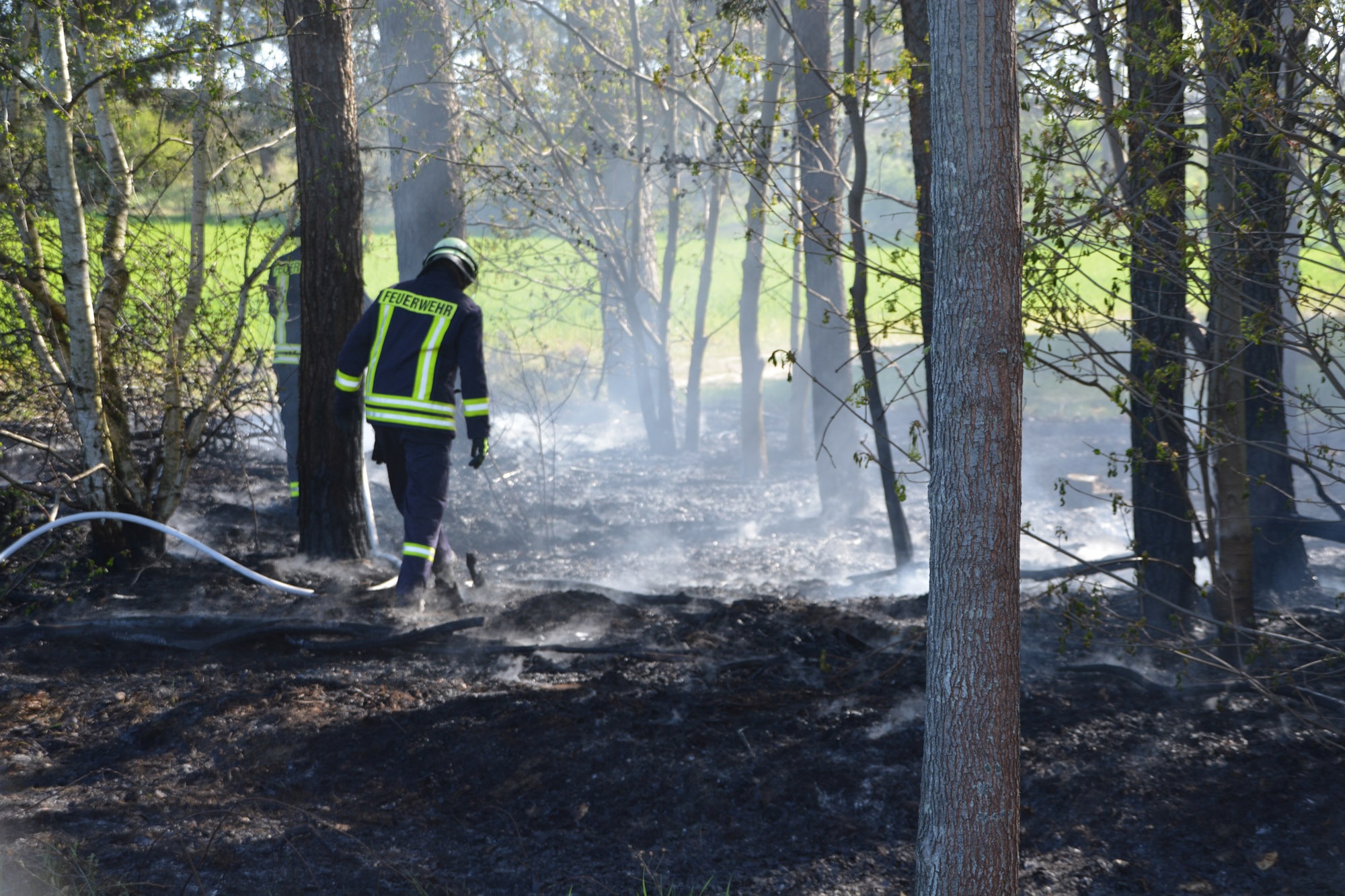 26-04-26 16-11-33 2026.jpg