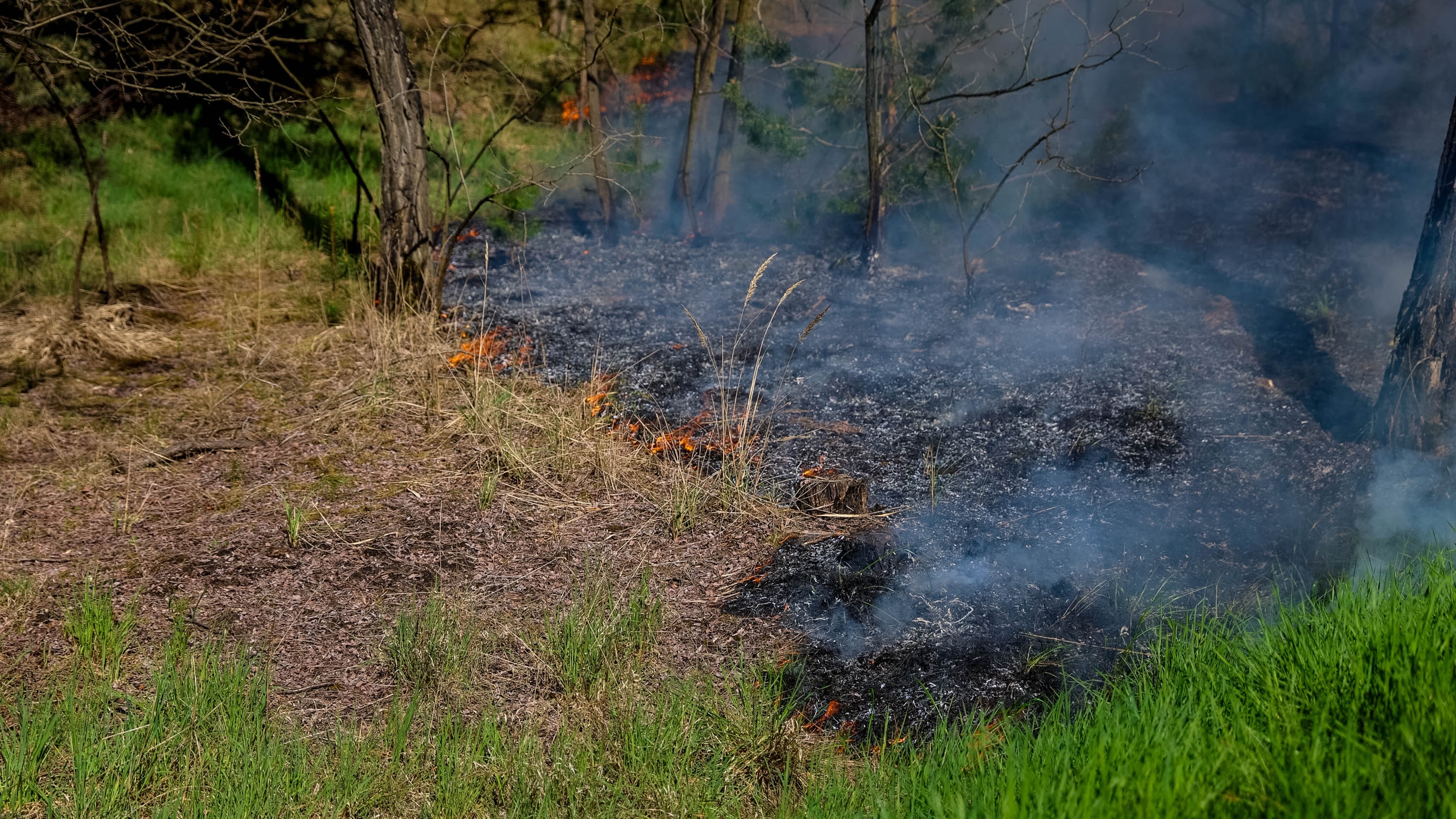 26-04-27 10-46-31 7088.jpg