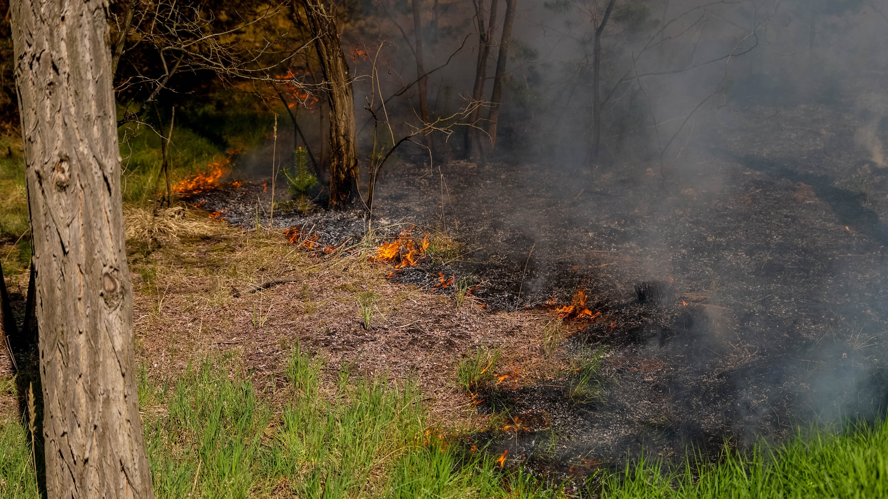 26-04-27 10-46-47 7098.jpg