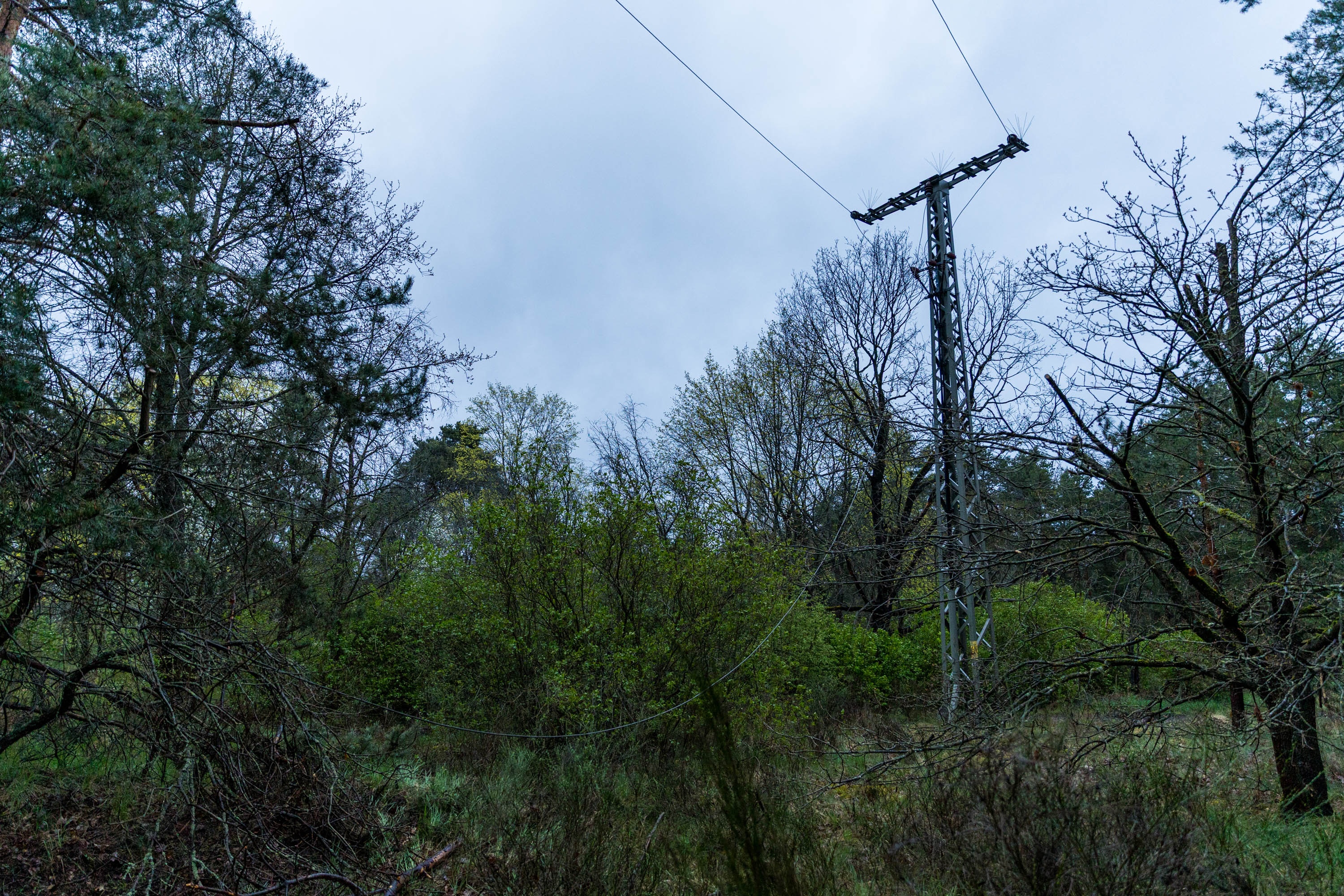 26-04-19 21-10-21 6523.jpg