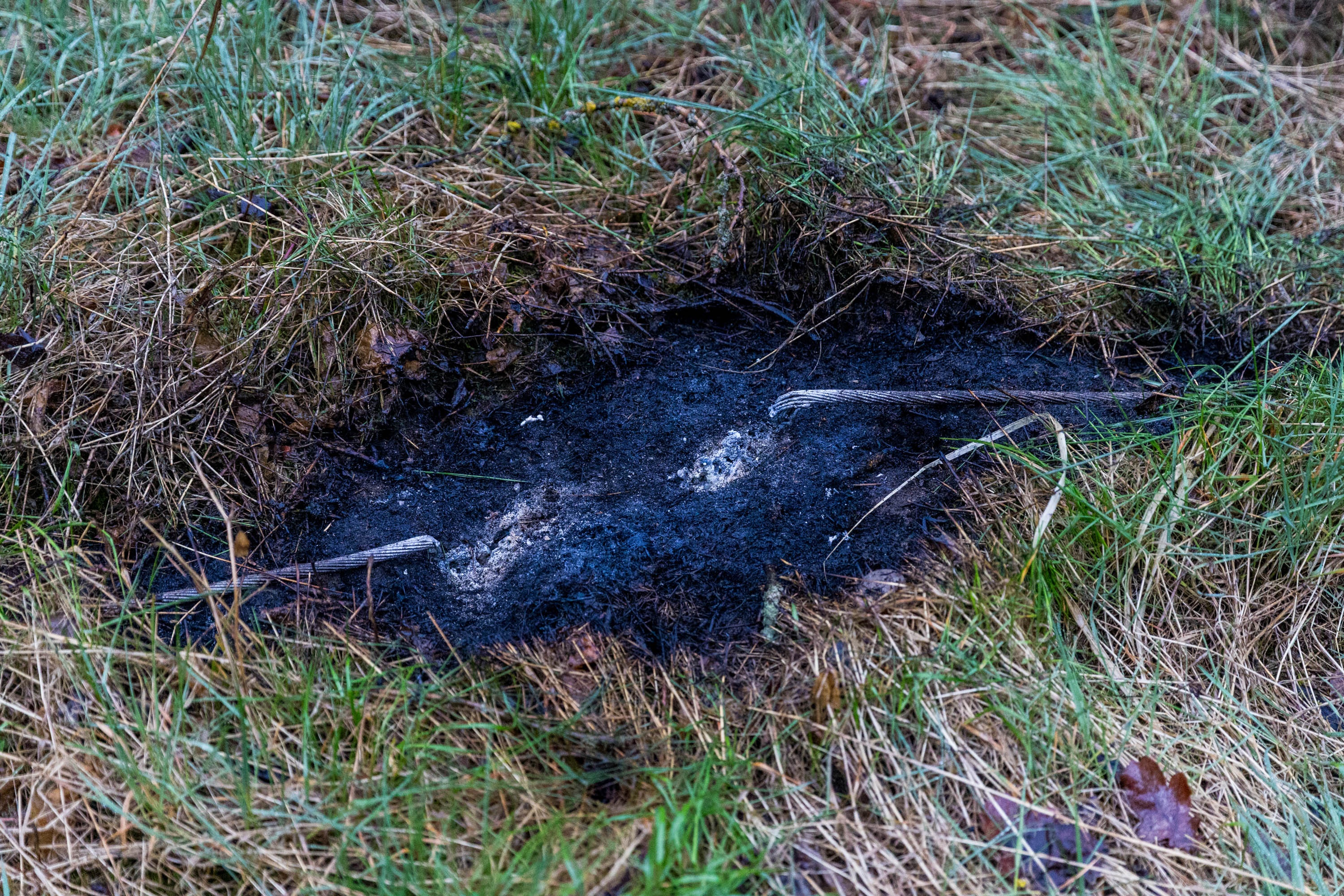 26-04-19 21-10-24 6525.jpg