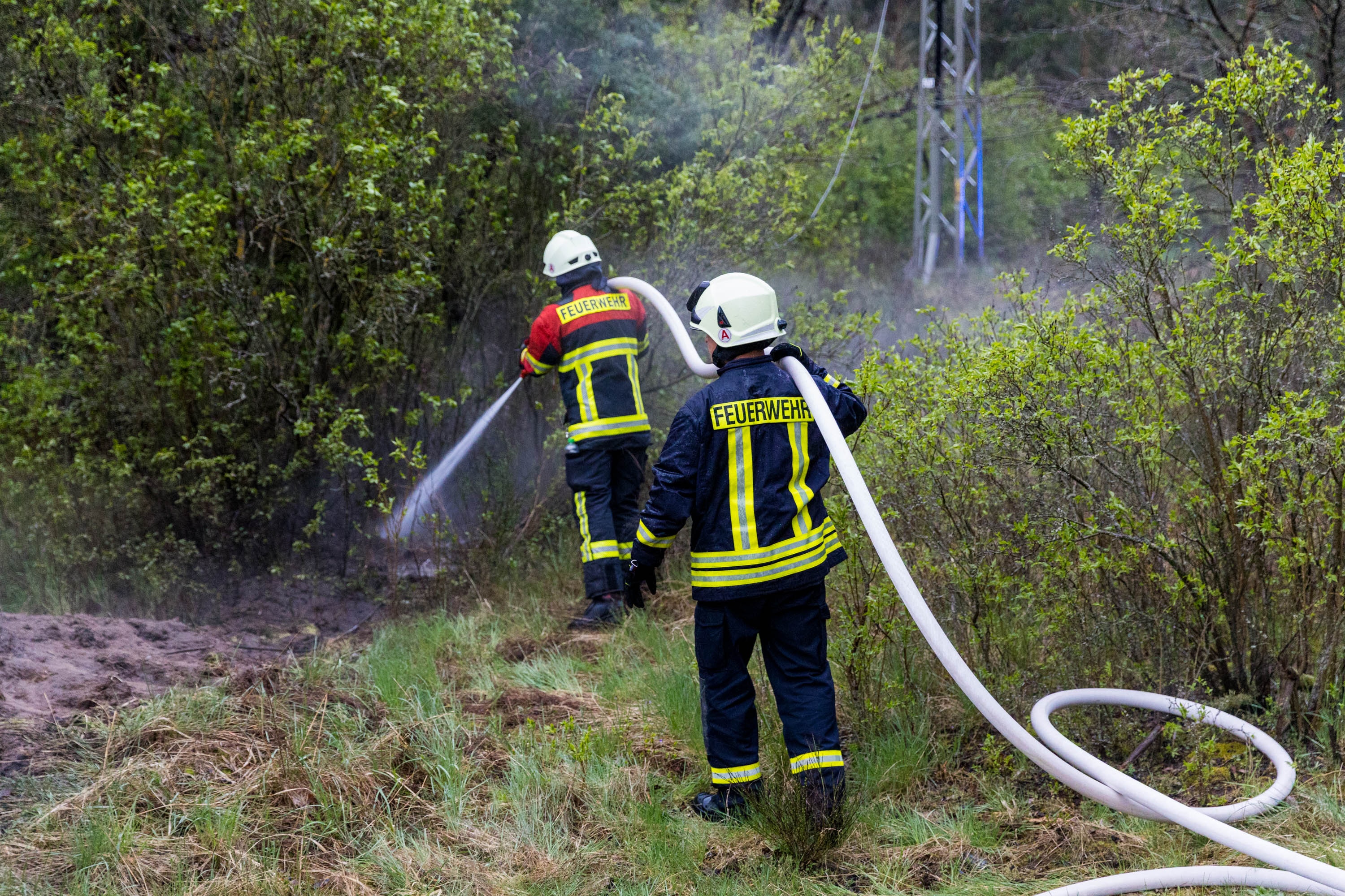 Kurioser Einsatz bei Unwetter: Starkstromleitung reißt und entzündet Waldboden trotz Starkregen - Feuerwehr löscht Waldbrand