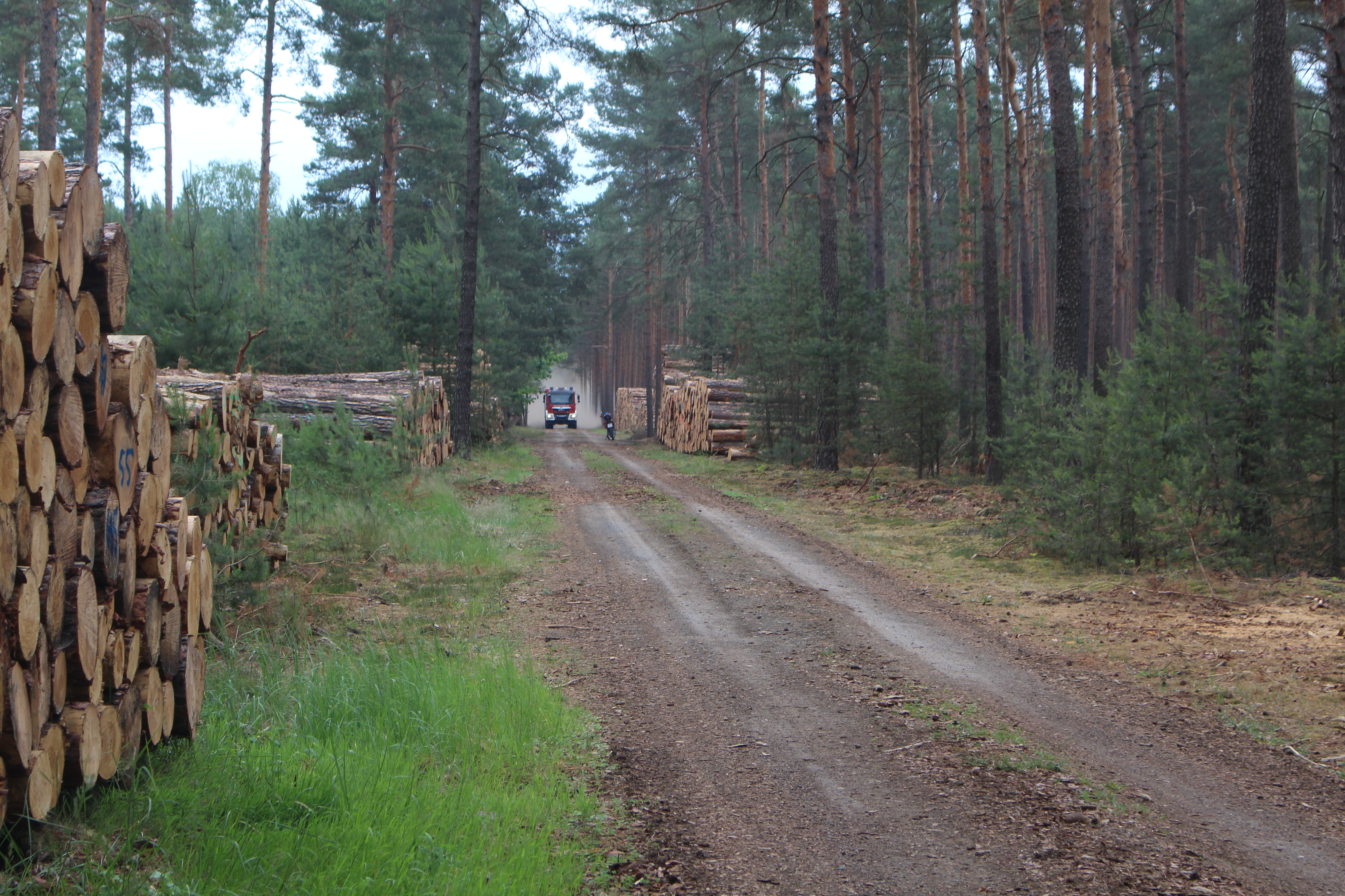 Waldbrand-006.JPG