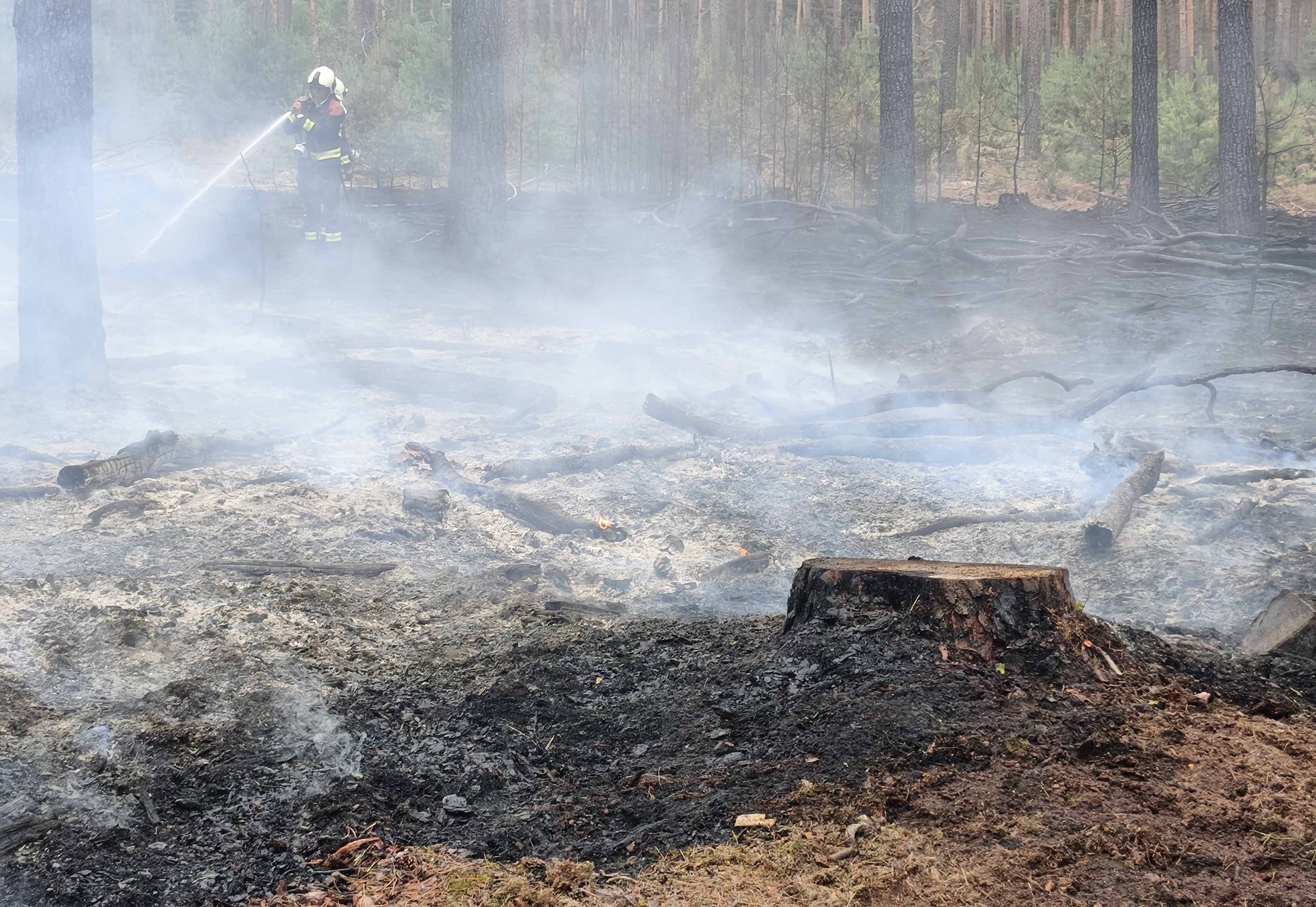 Waldbrand-007.jpg
