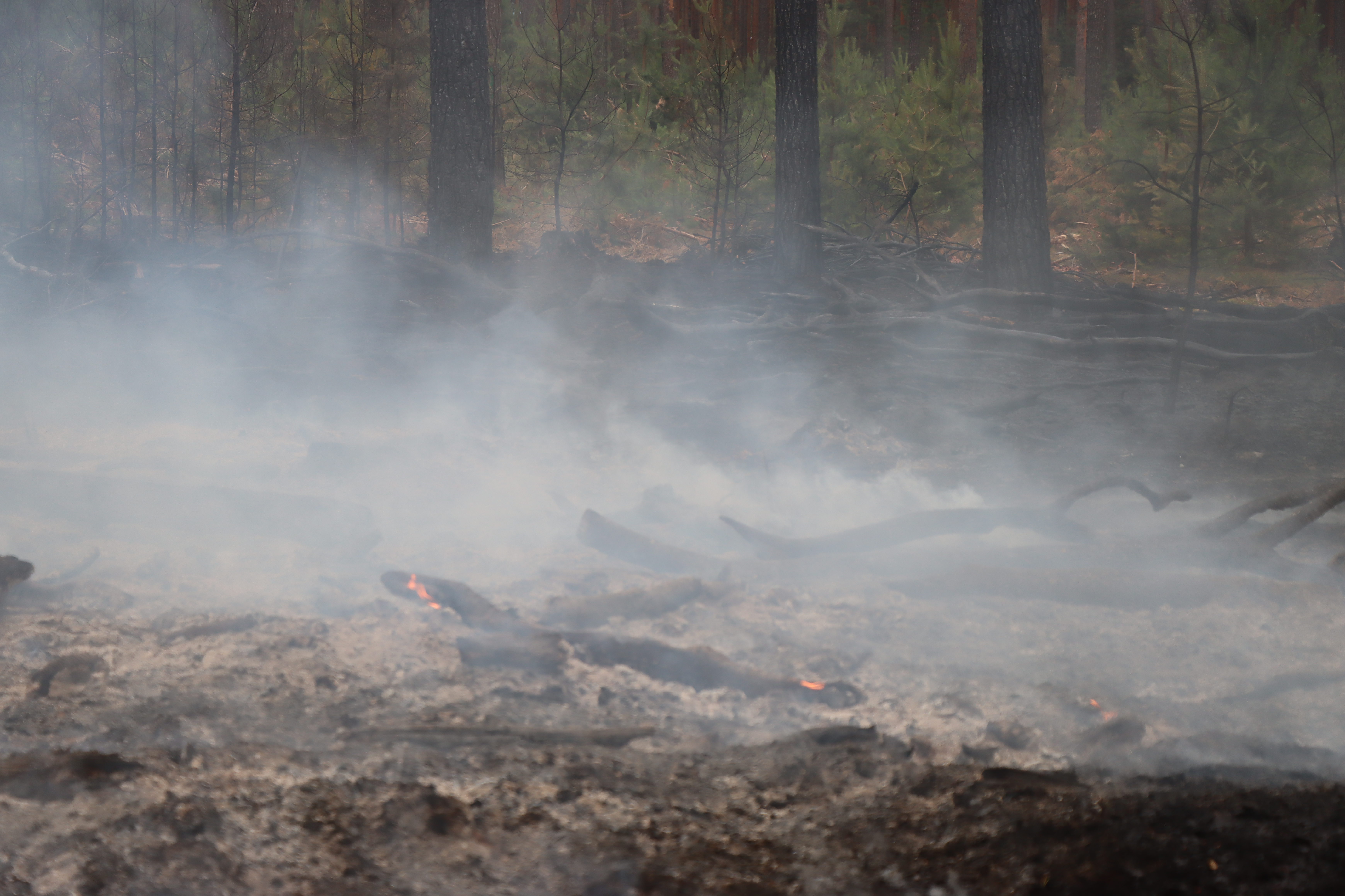 Waldbrand-008.JPG
