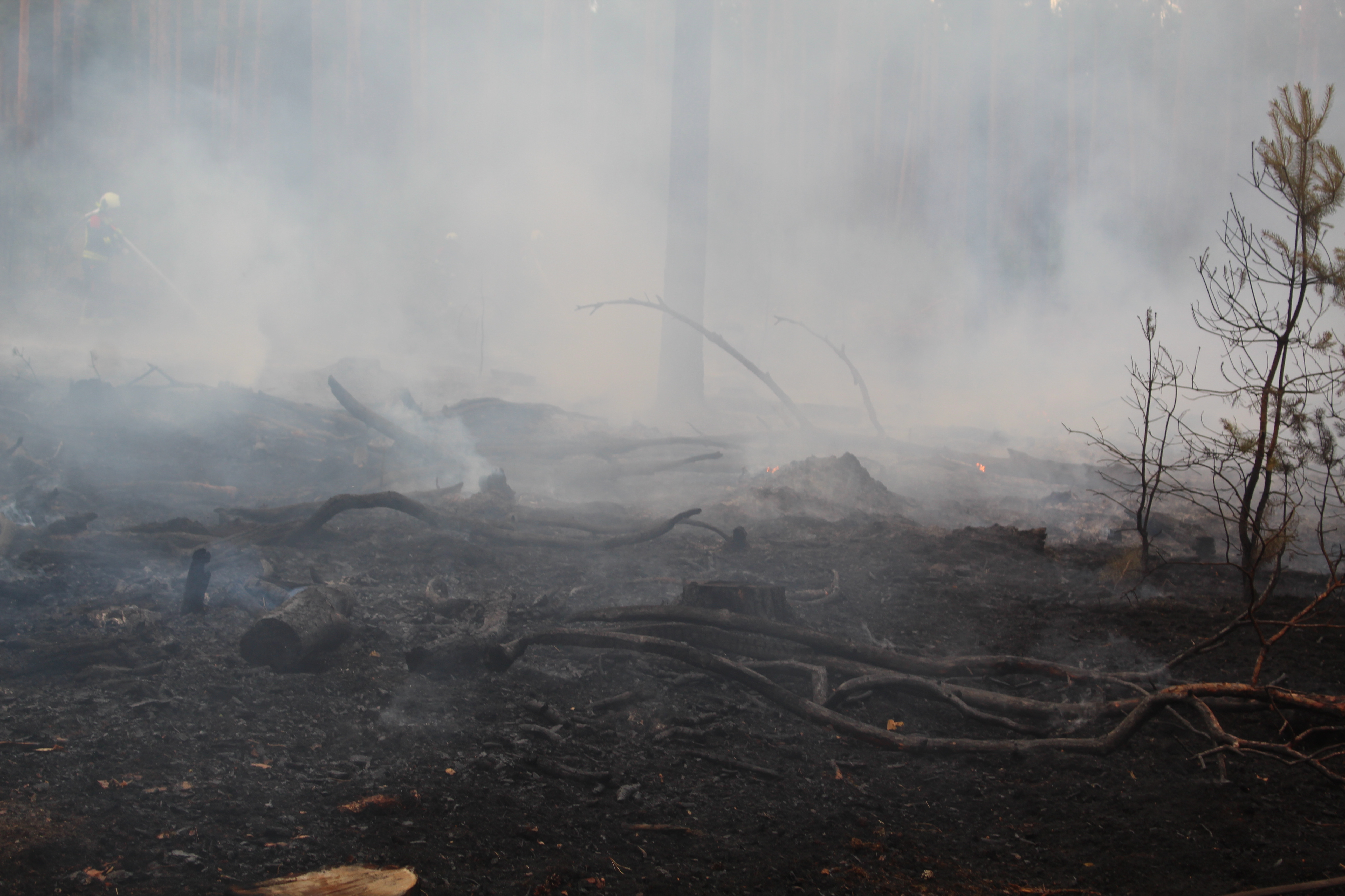 Waldbrand-009.JPG