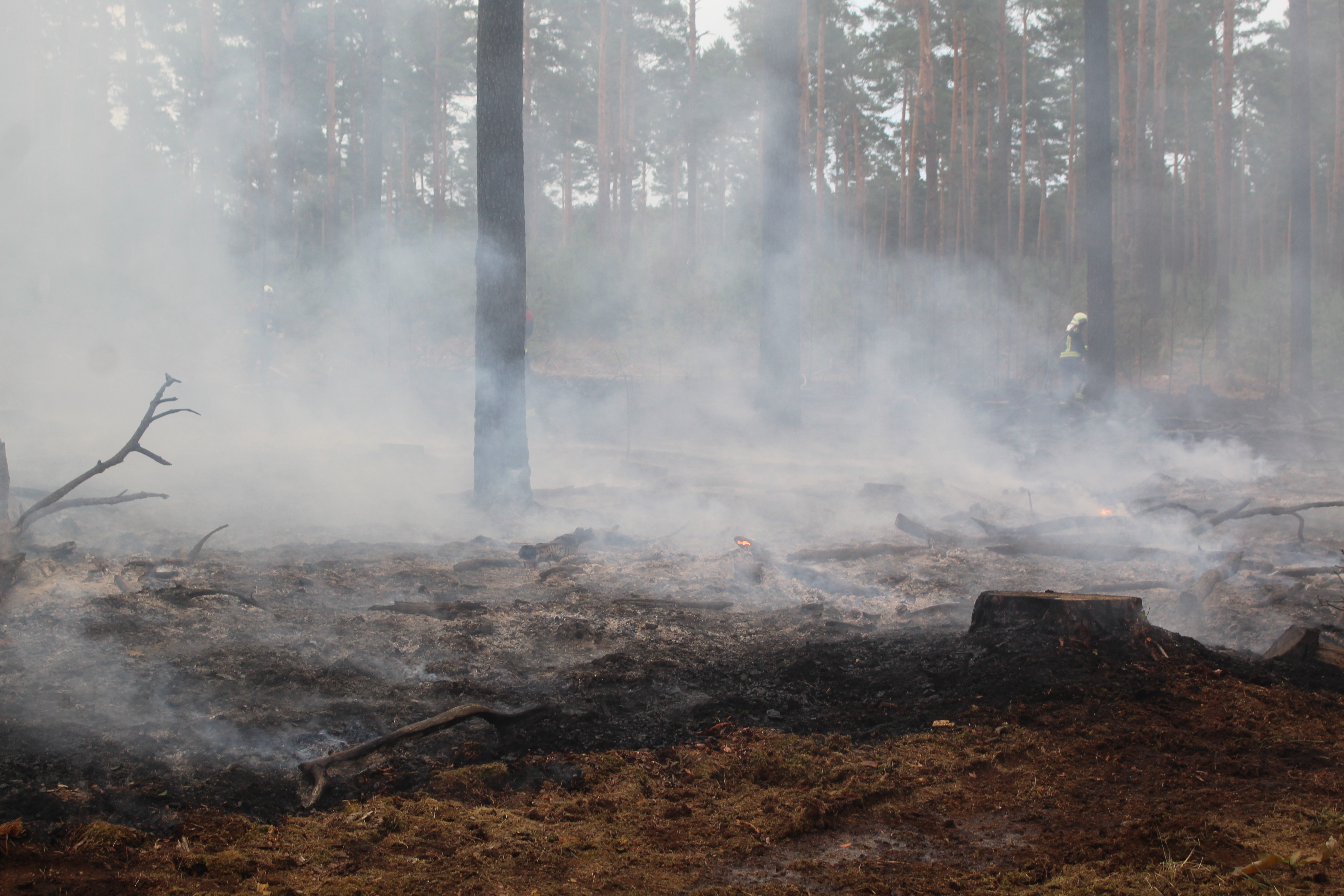 Waldbrand-010.JPG