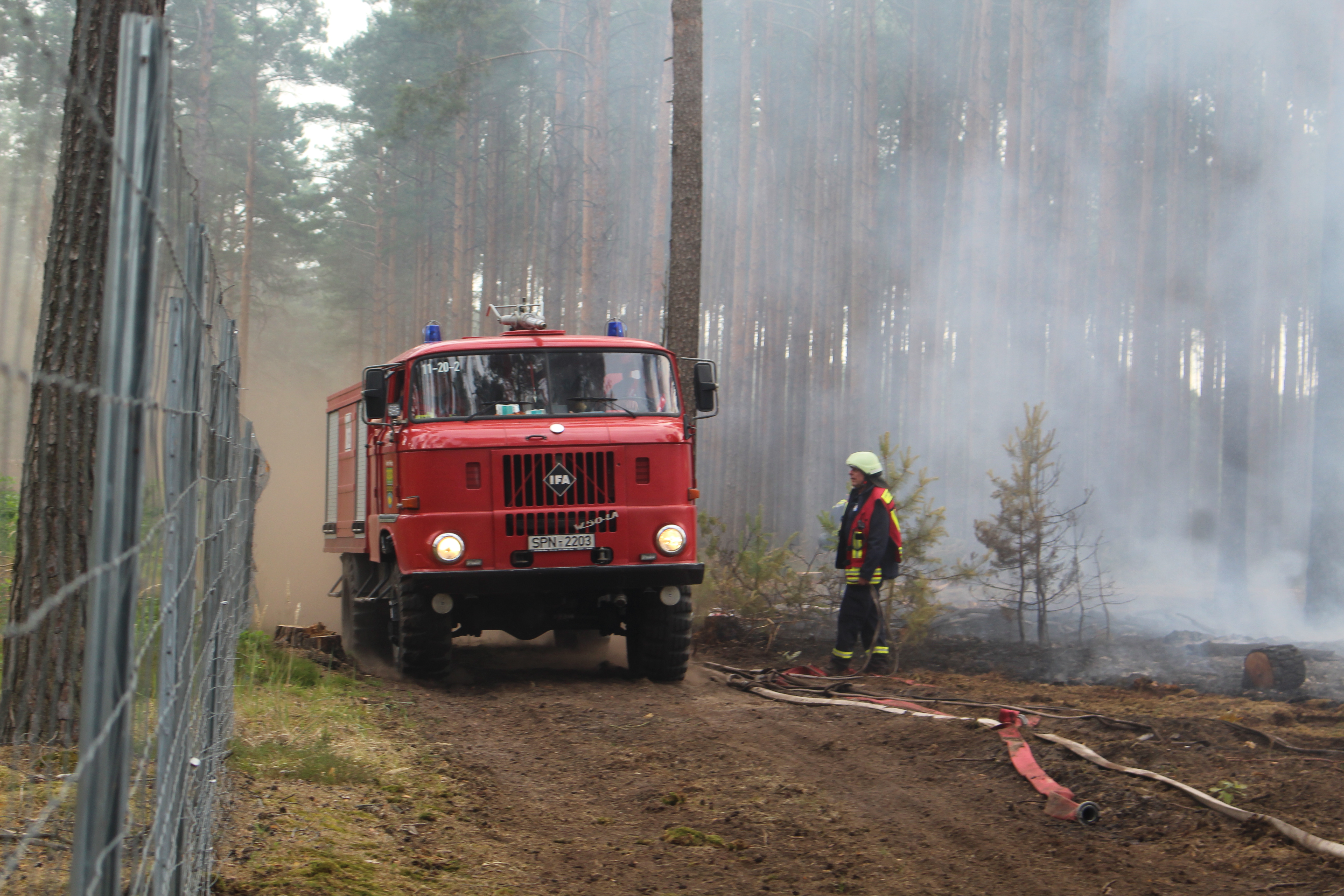 Waldbrand-012.JPG