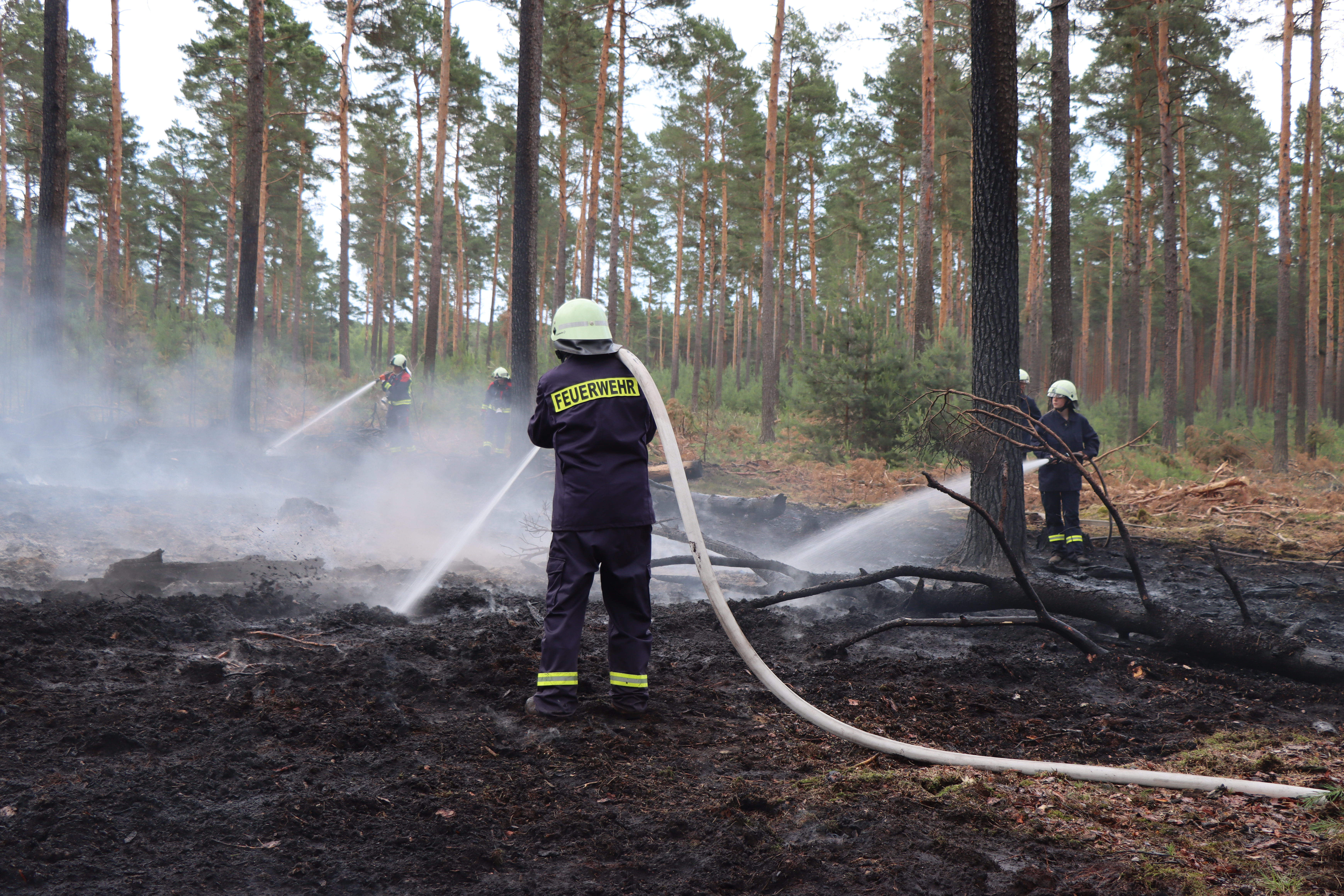 Waldbrand-013.JPG