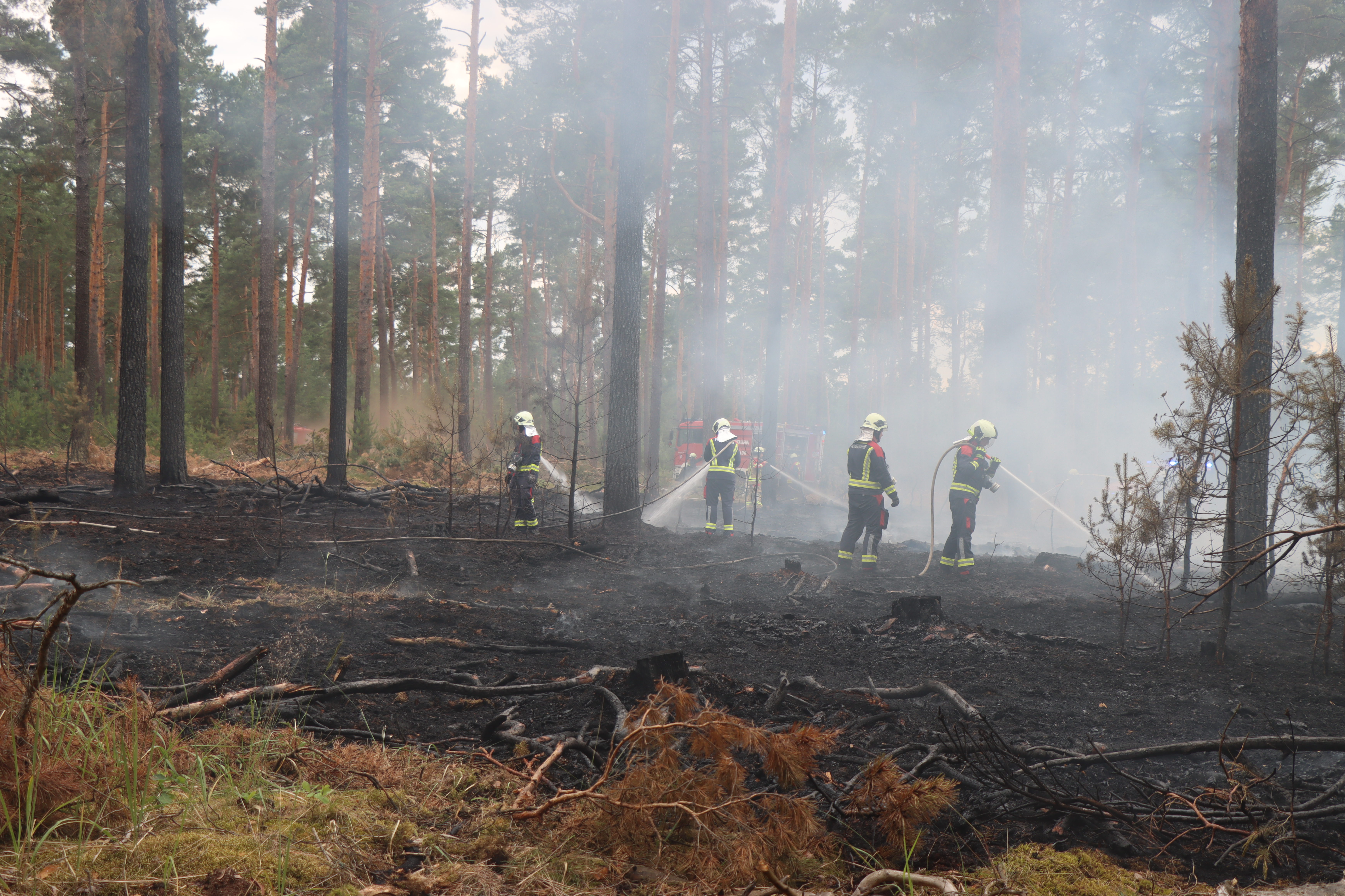 Waldbrand-015.JPG