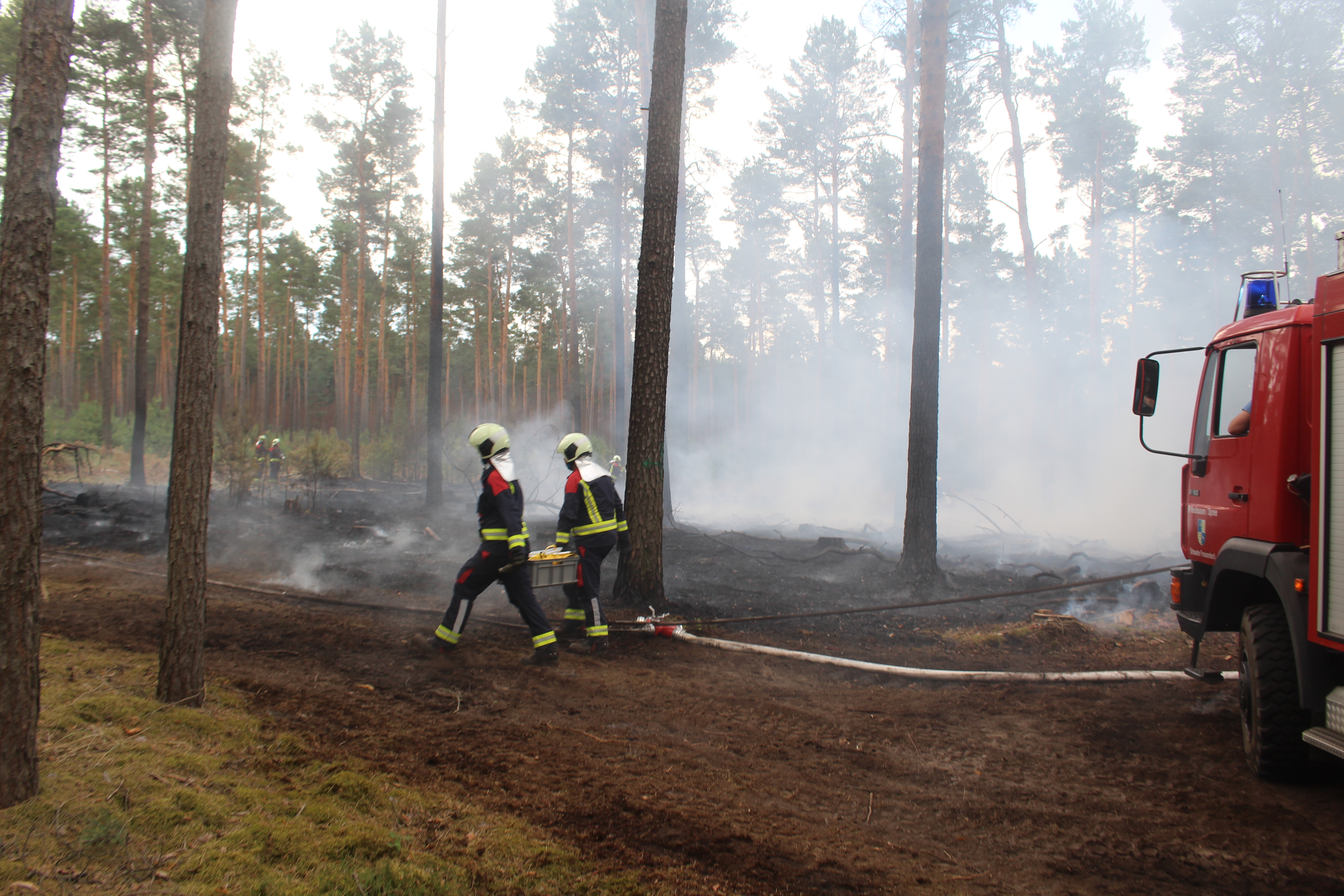 Waldbrand-017.JPG