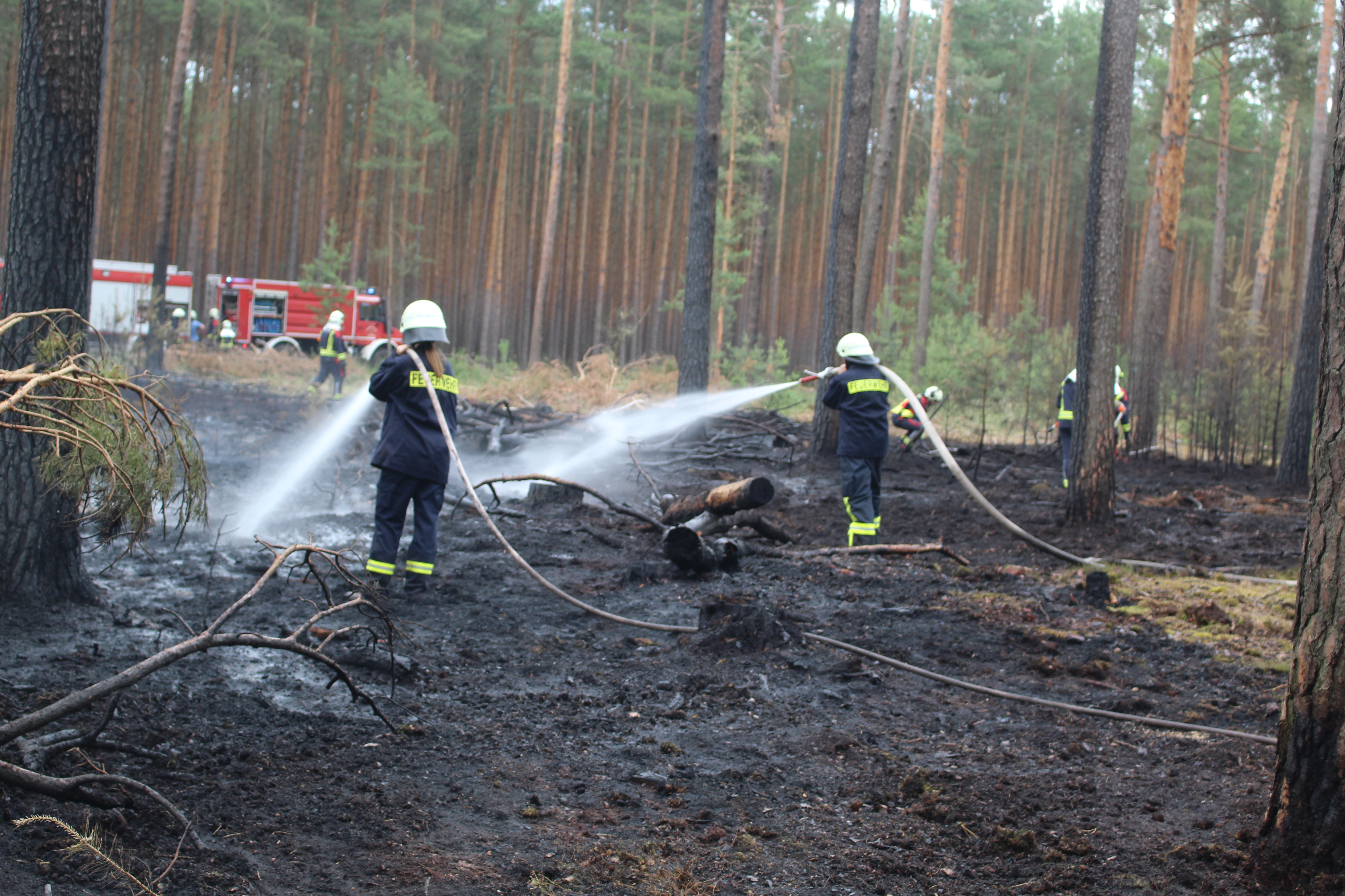 Waldbrand-021.JPG