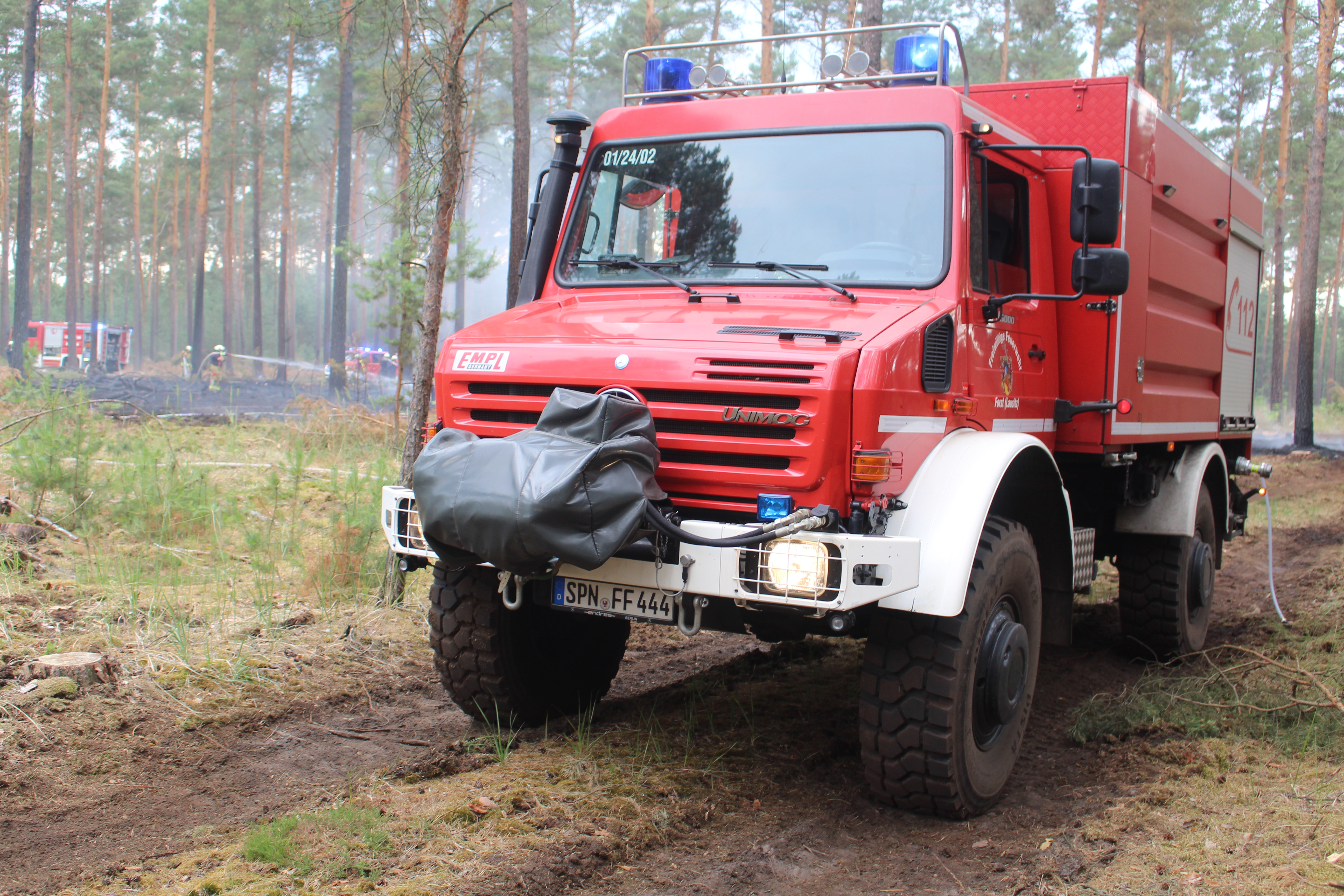 Waldbrand-023.JPG