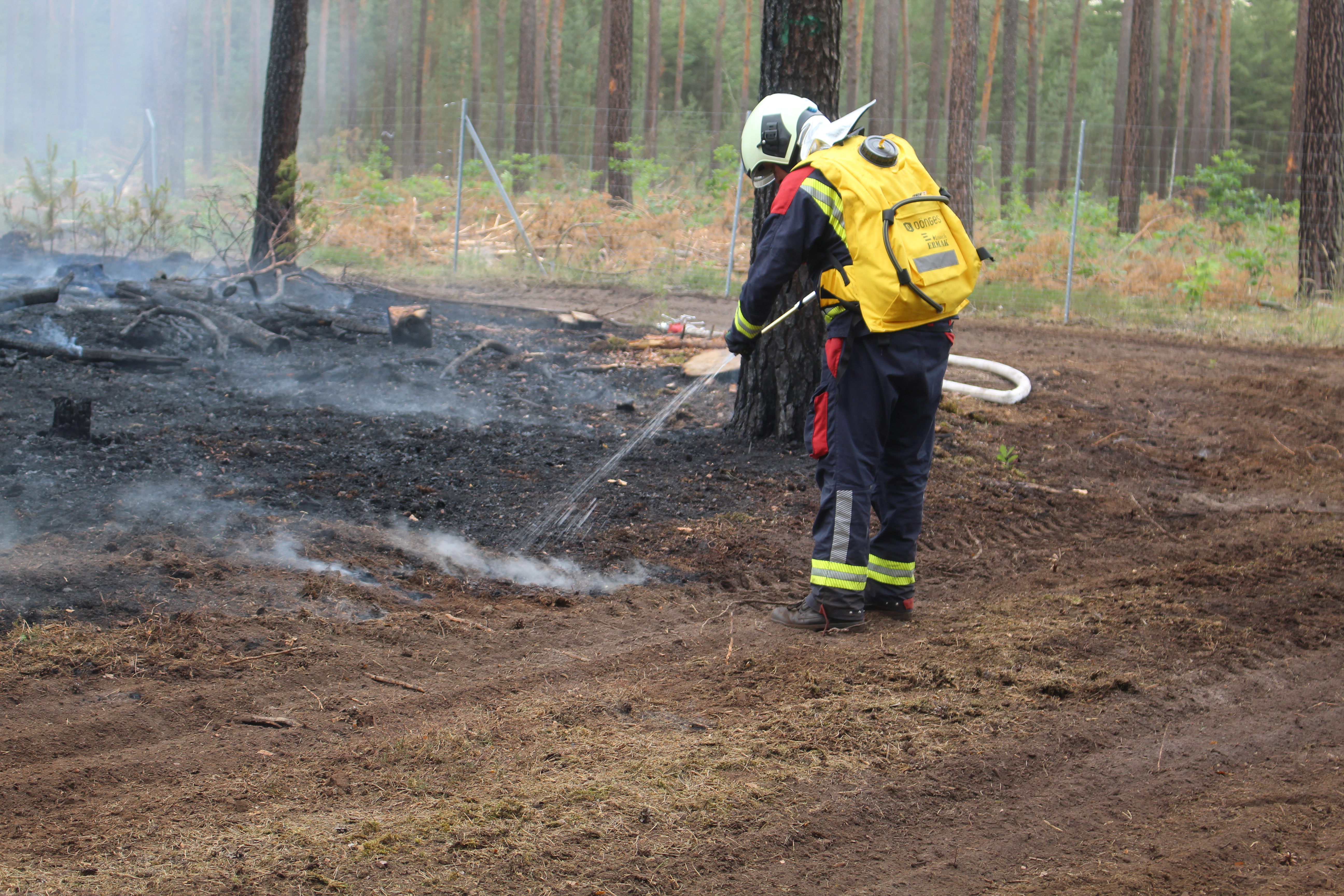 Waldbrand-026.JPG