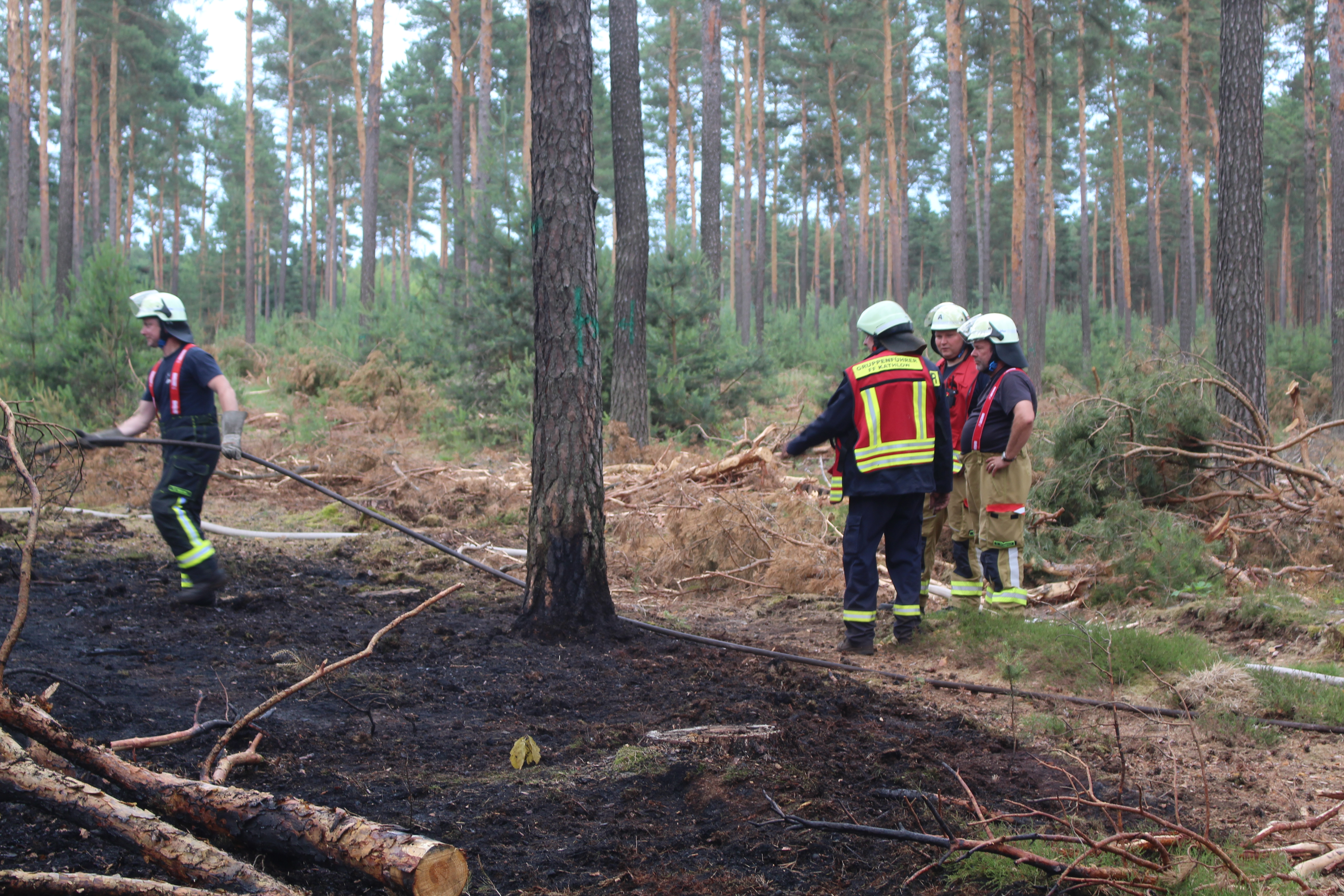 Waldbrand-028.JPG