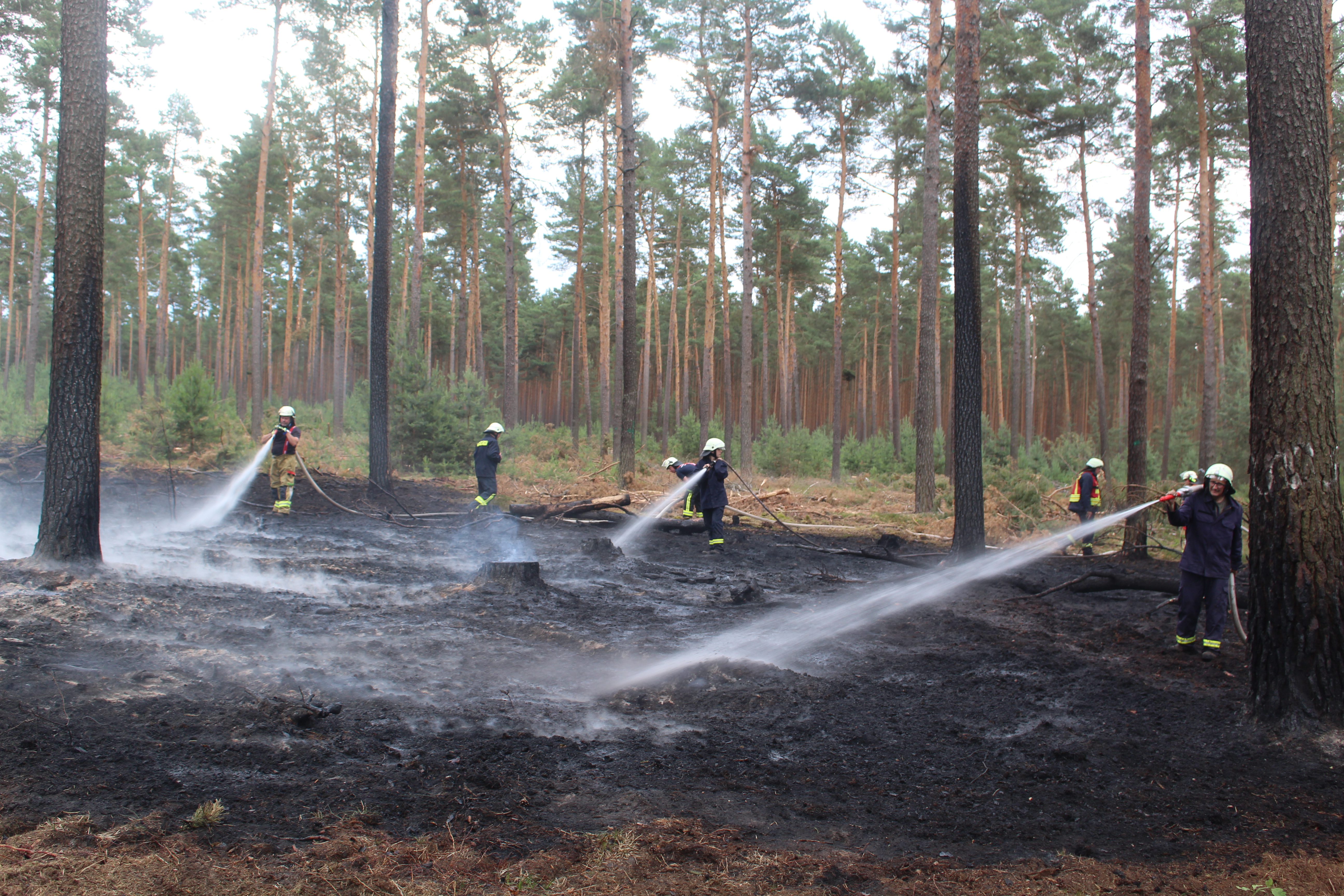 Waldbrand-029.JPG