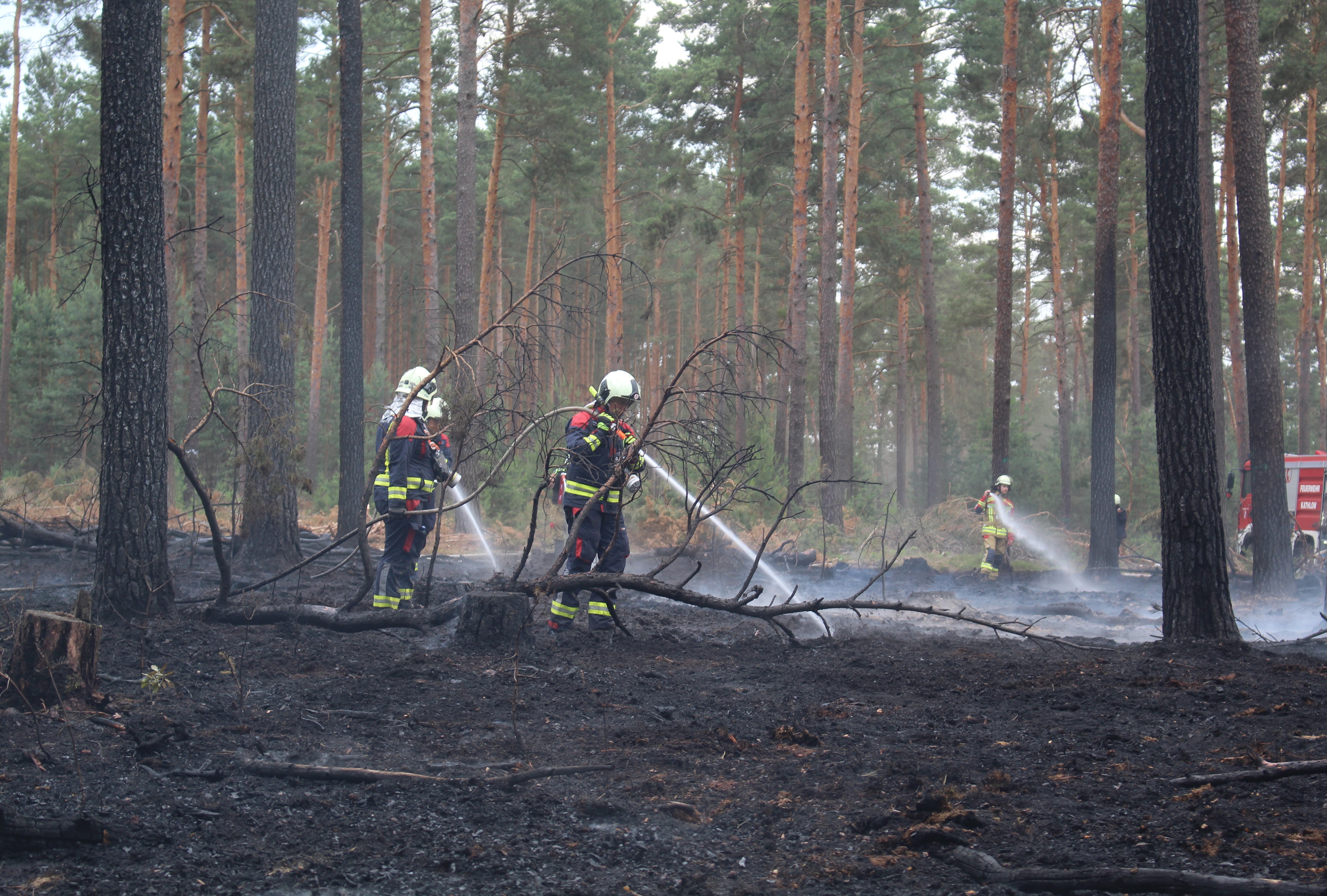 Waldbrand-030.JPG