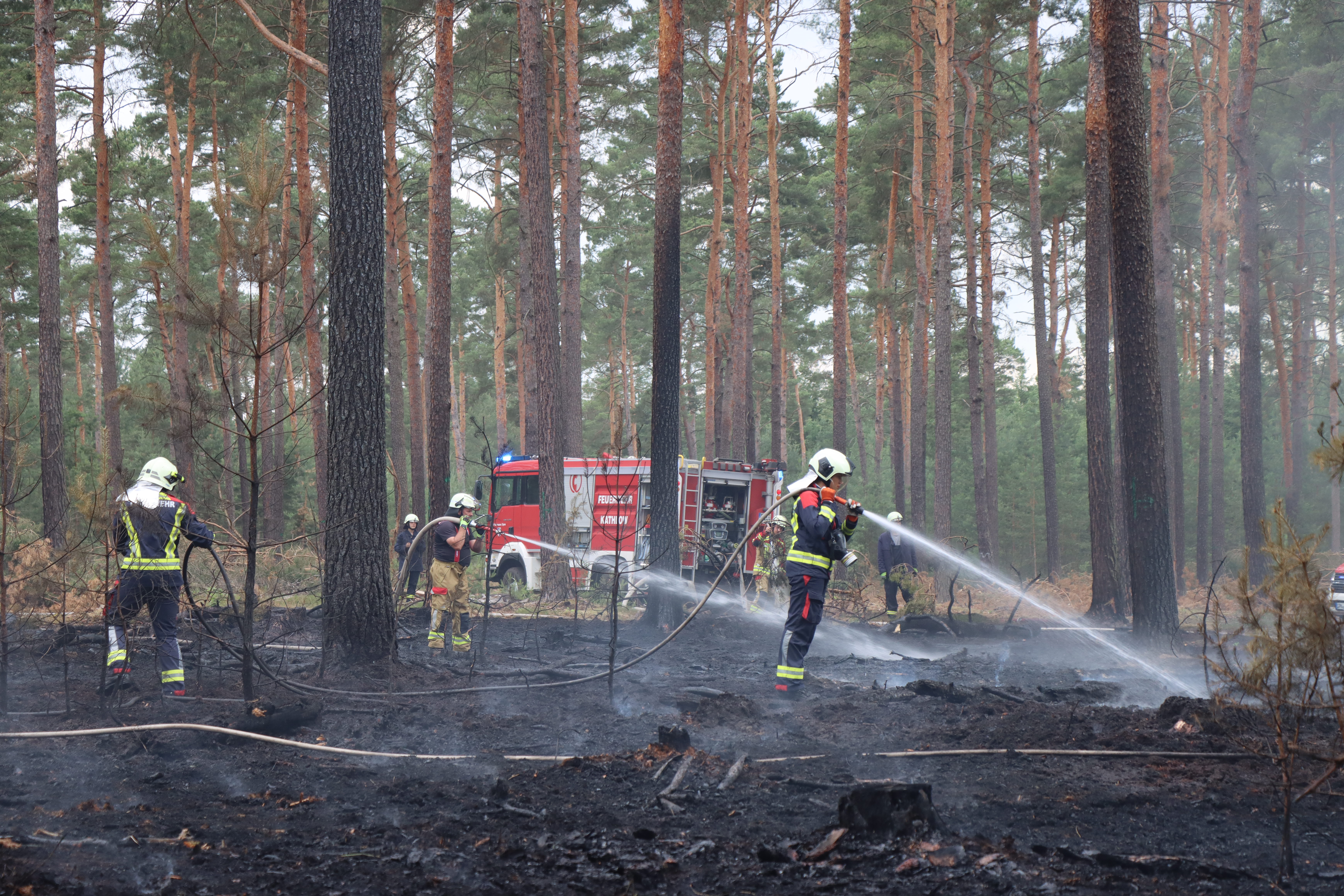Waldbrand-031.JPG