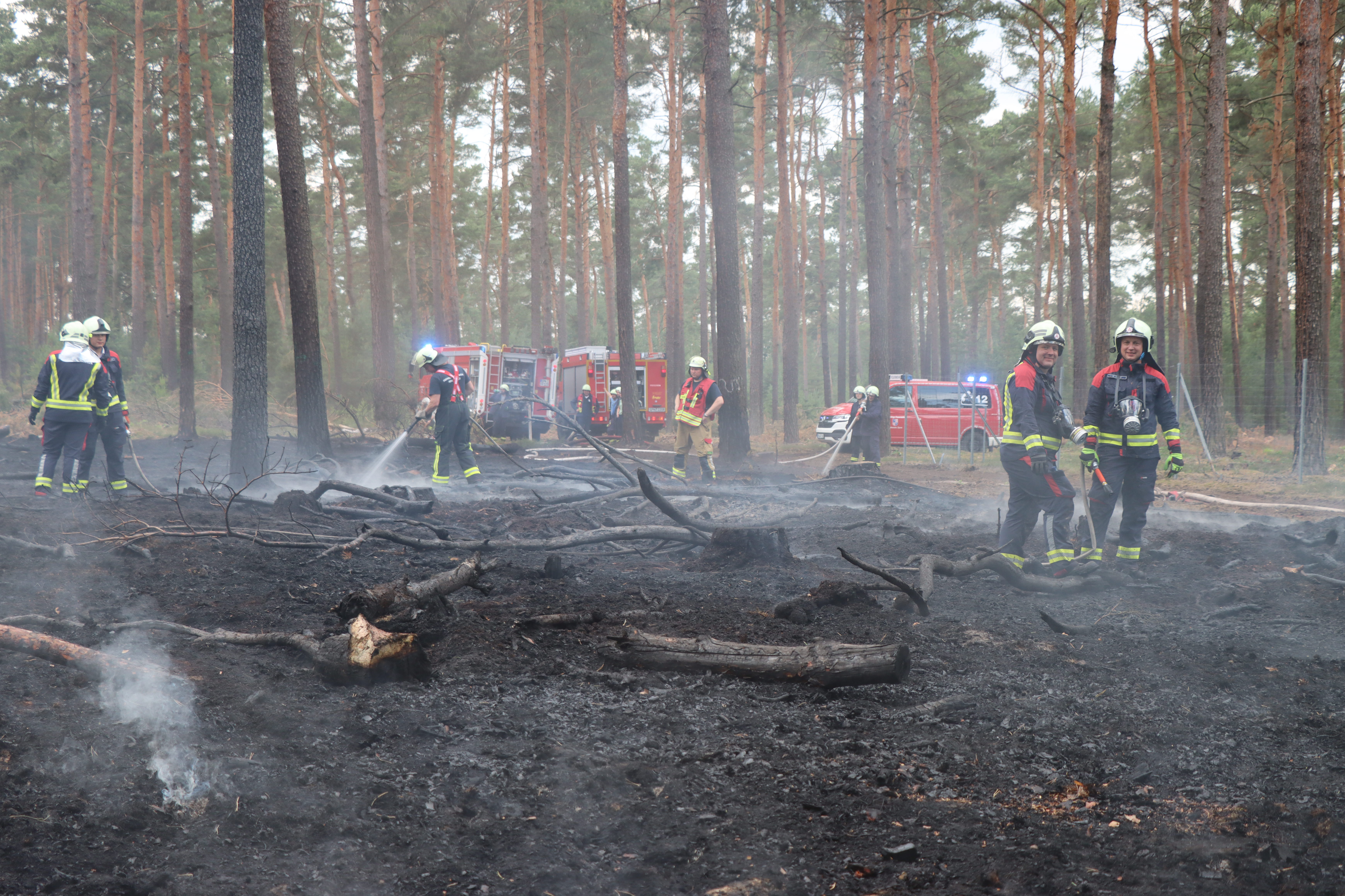 Waldbrand-033.JPG