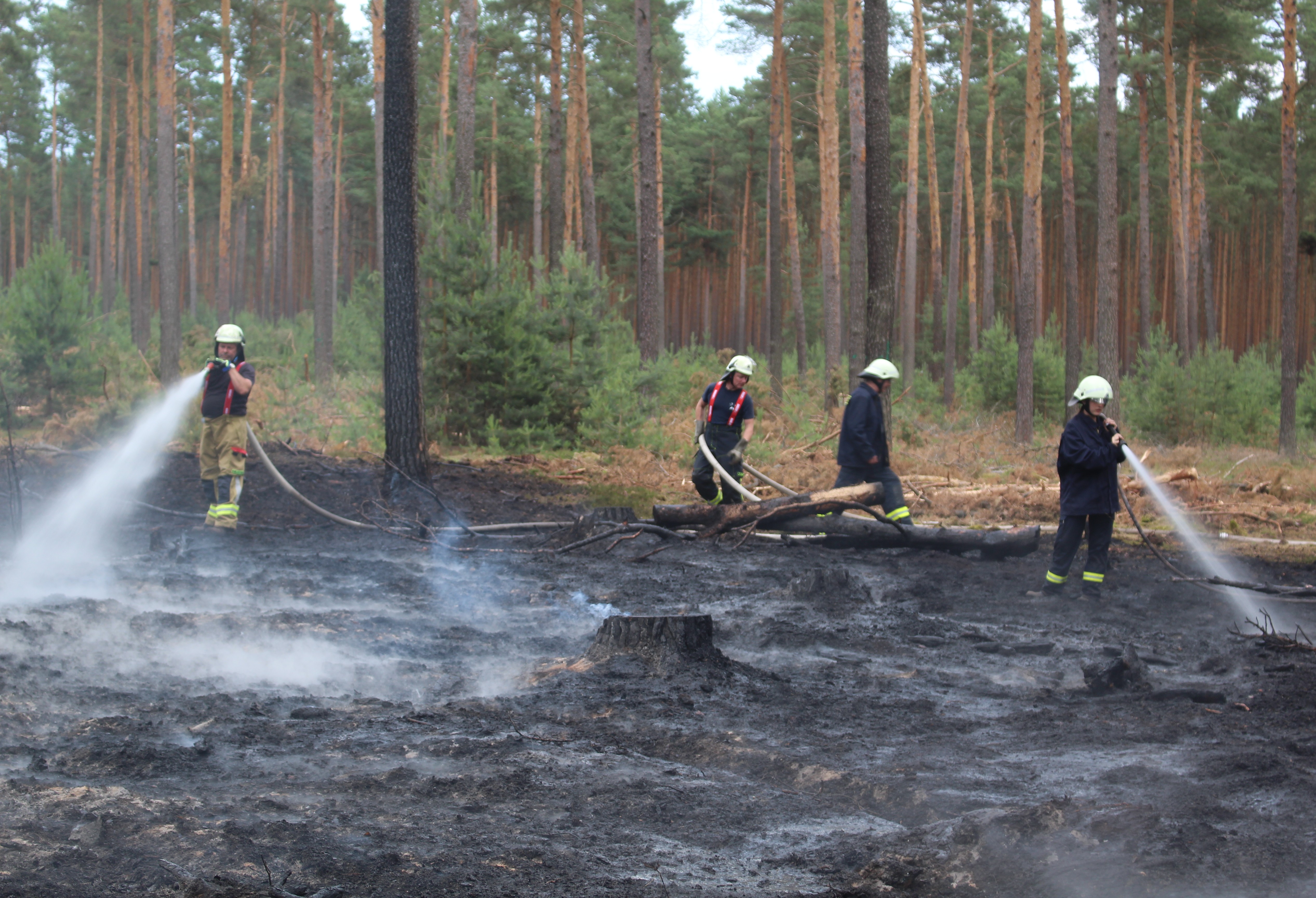 Waldbrand-034.JPG