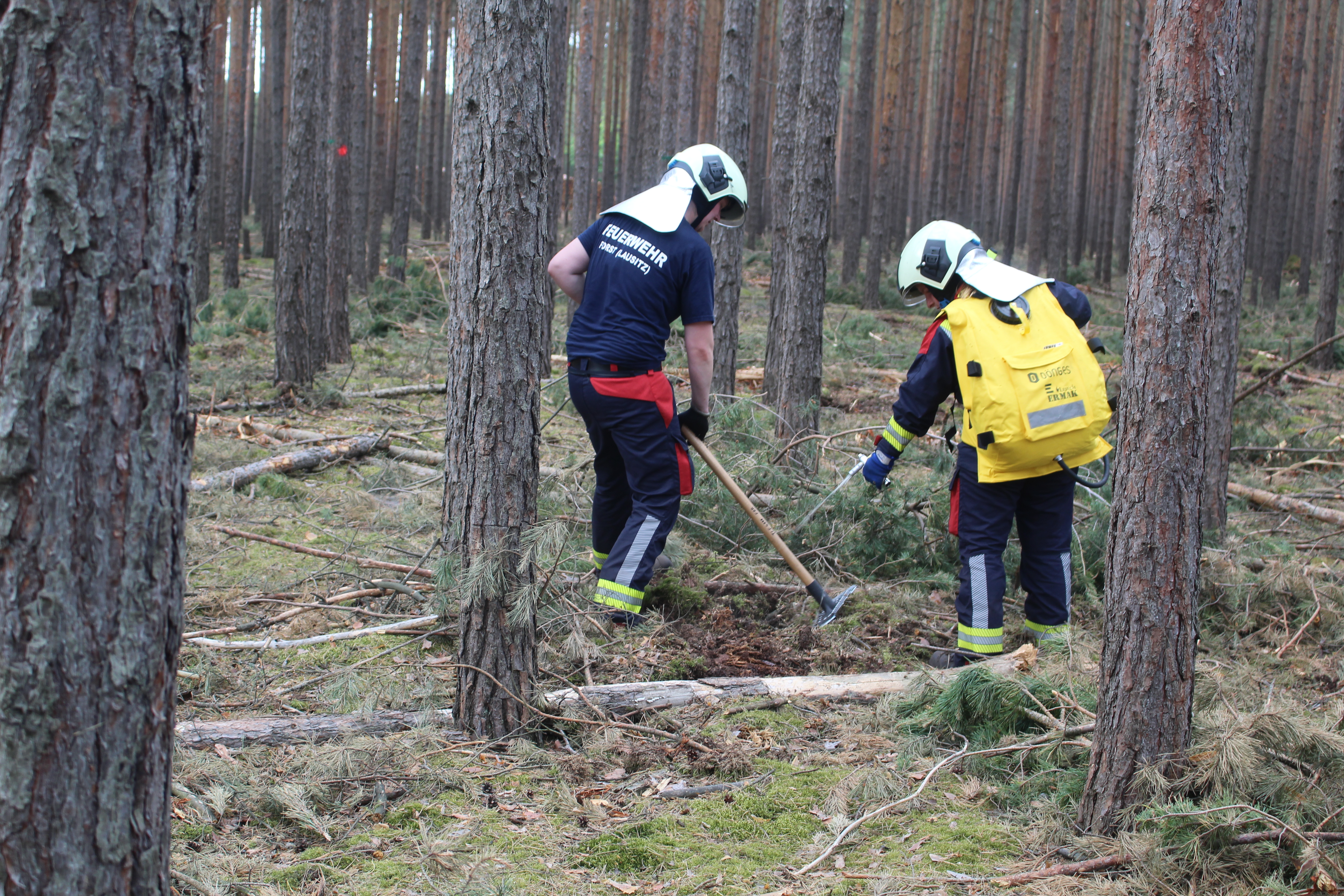 Waldbrand-035.JPG