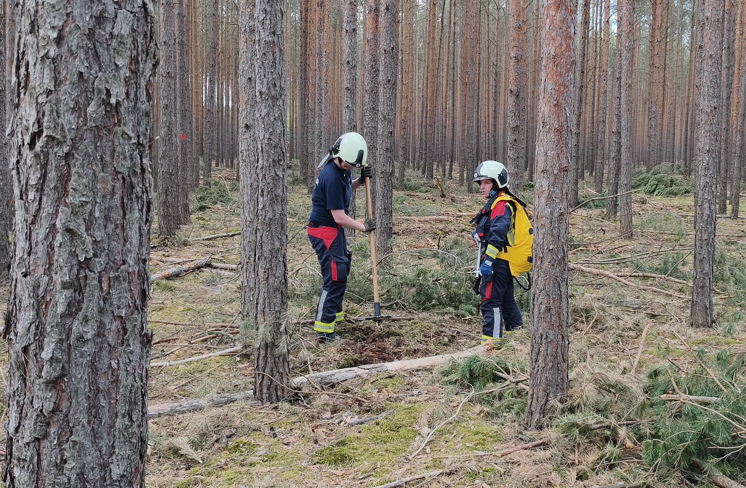 Waldbrand-036.jpg