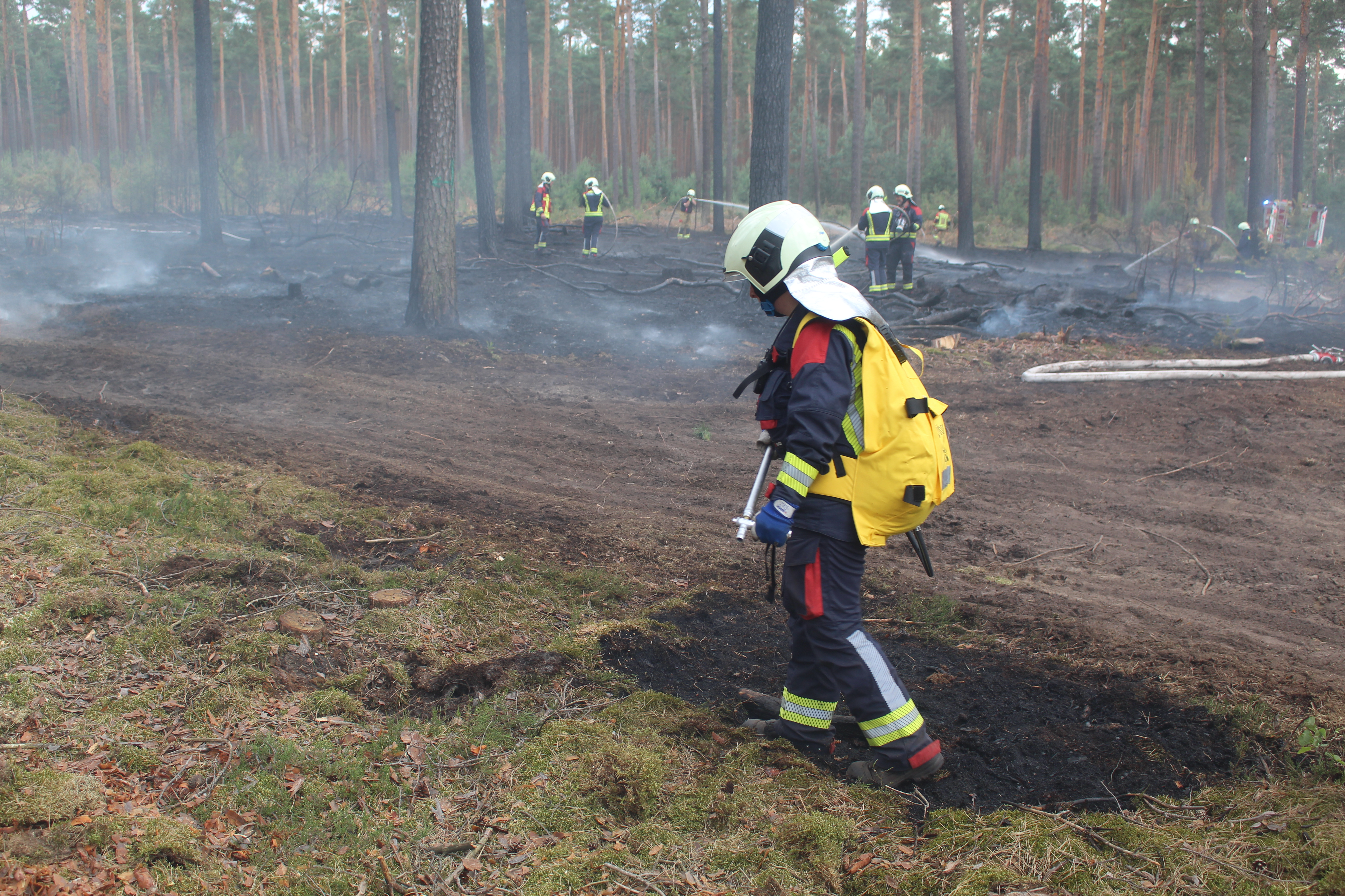 Waldbrand-037.JPG