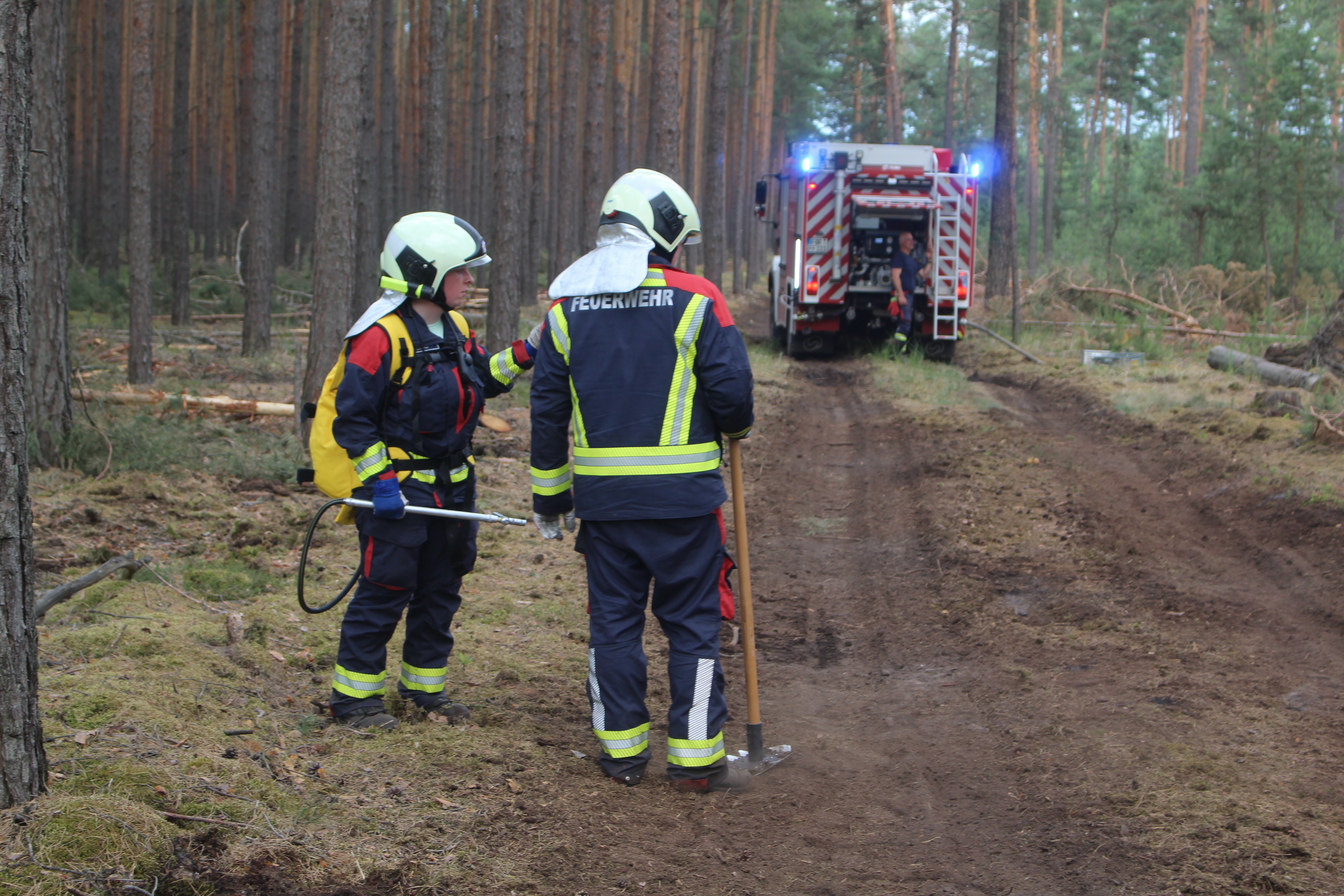 Waldbrand-038.JPG