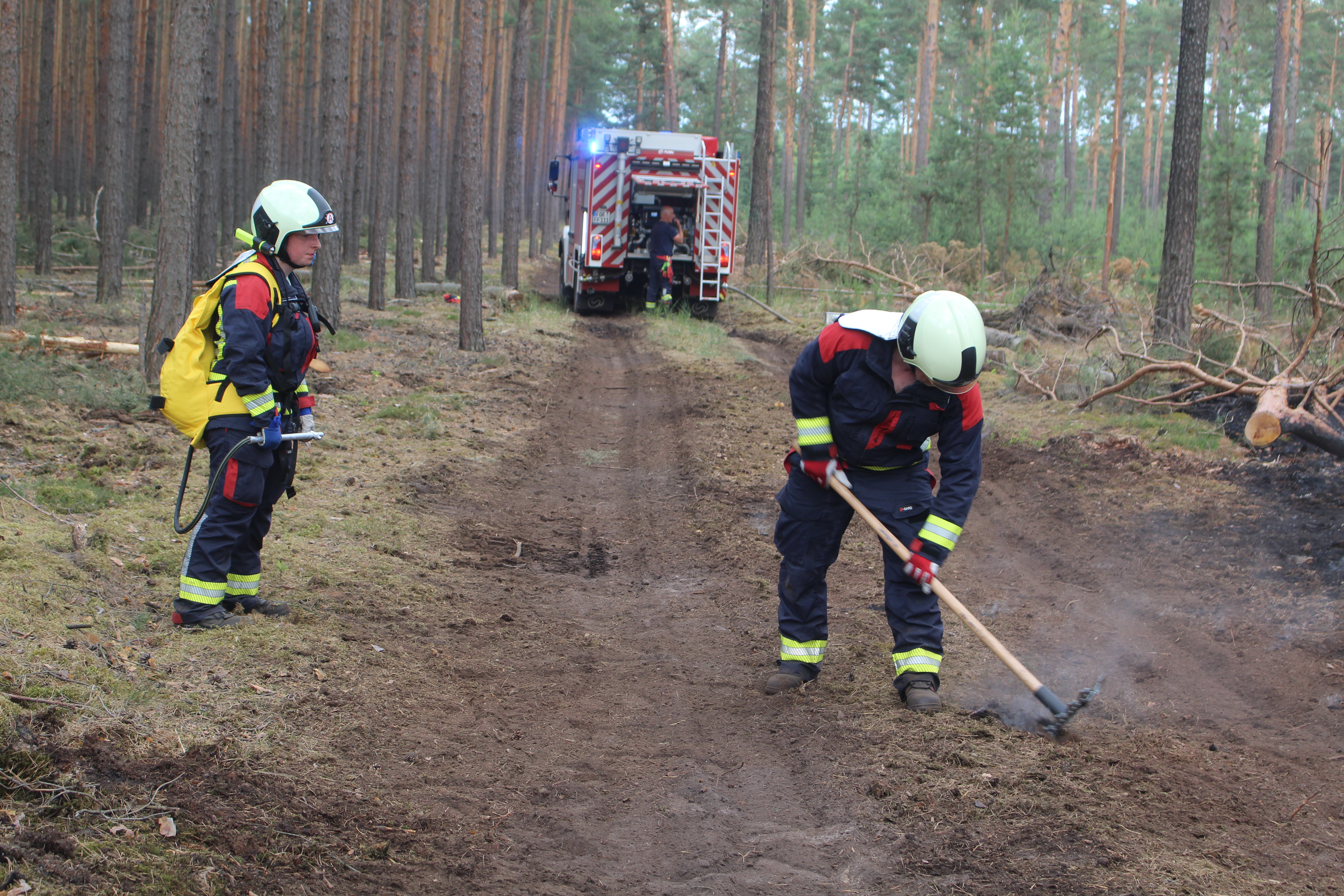 Waldbrand-039.JPG