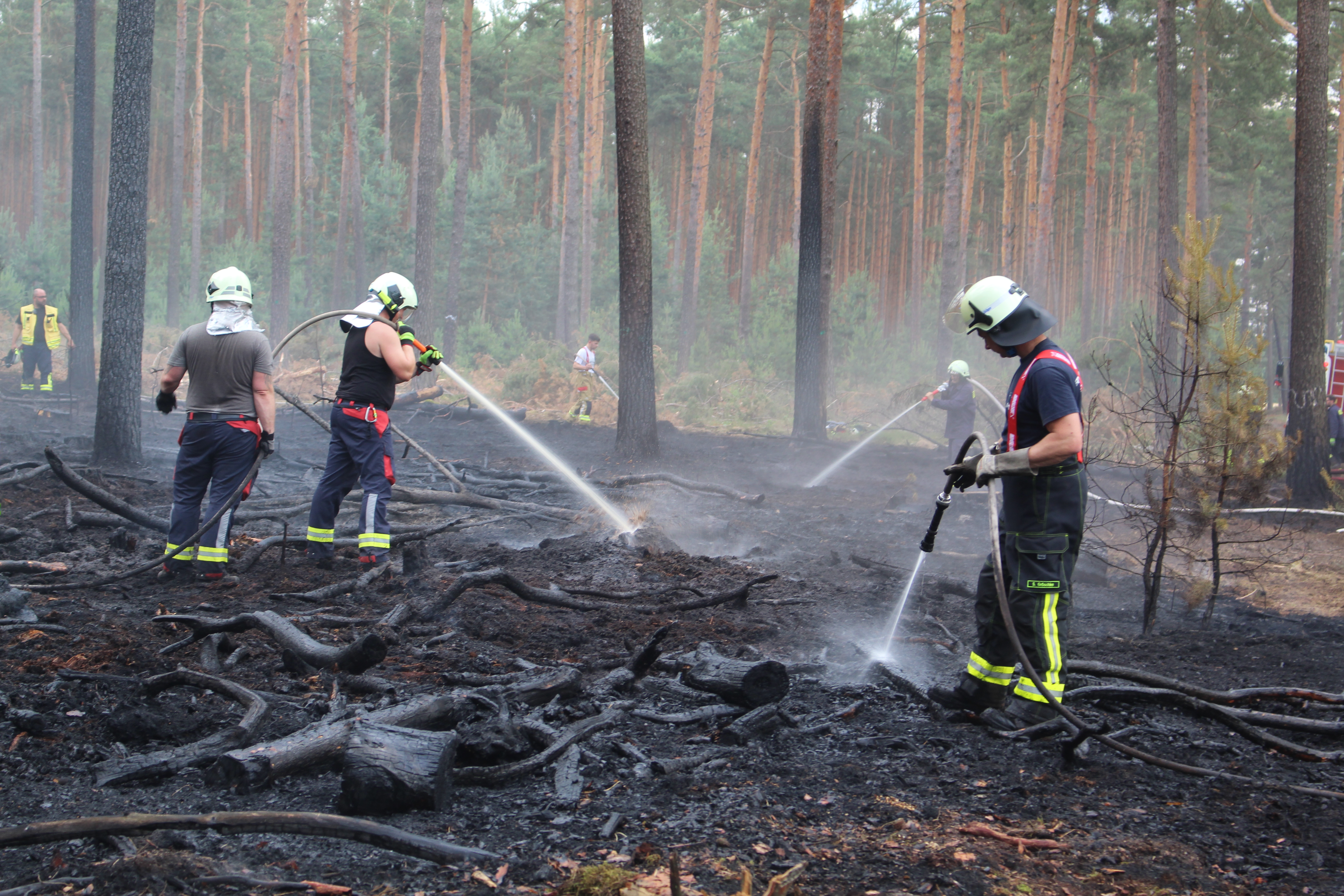 Waldbrand-040.JPG