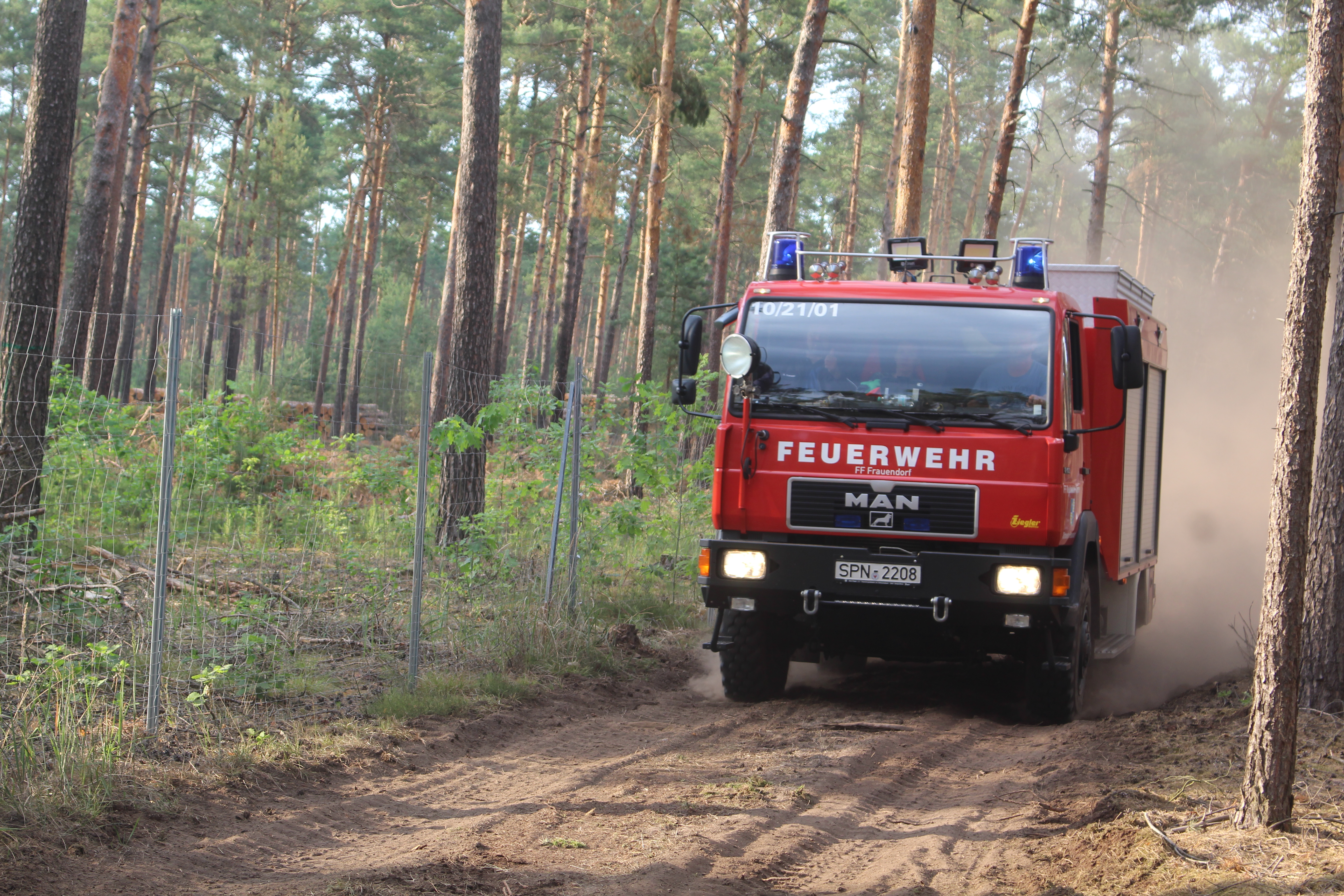 Waldbrand-041.JPG