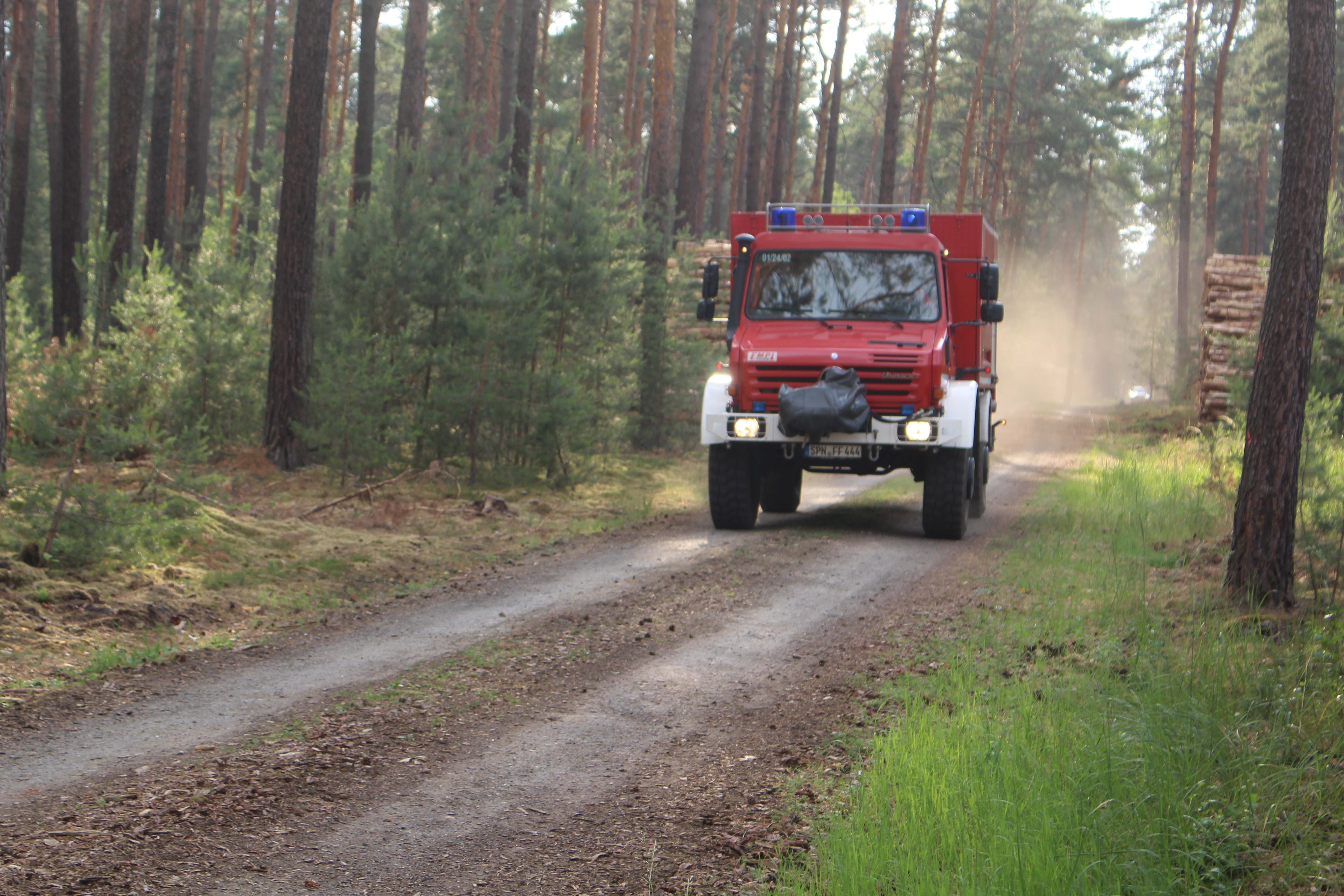 Waldbrand-042.JPG